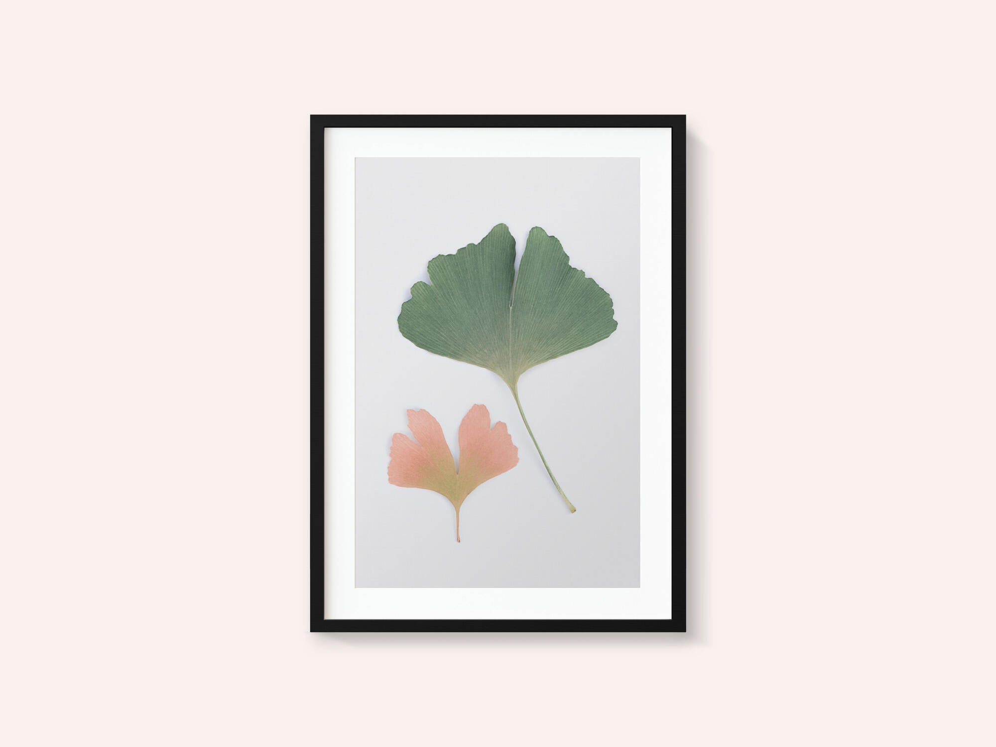 Pastel Ginkgo