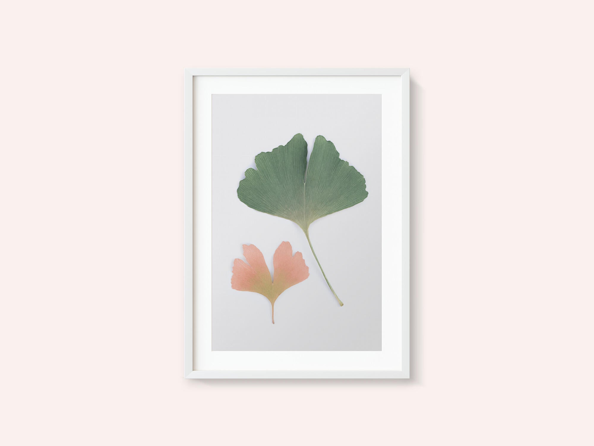 Pastel Ginkgo