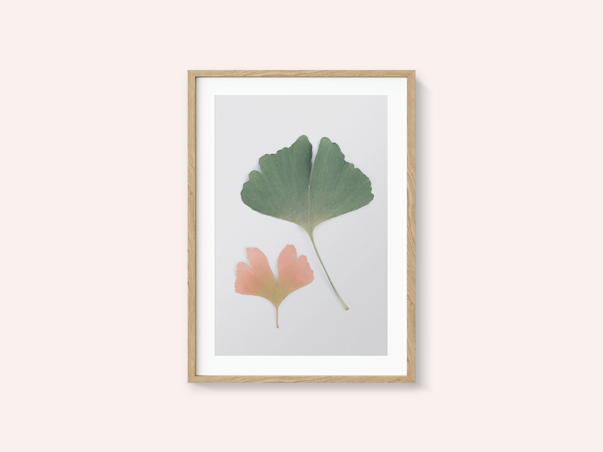 Pastel Ginkgo