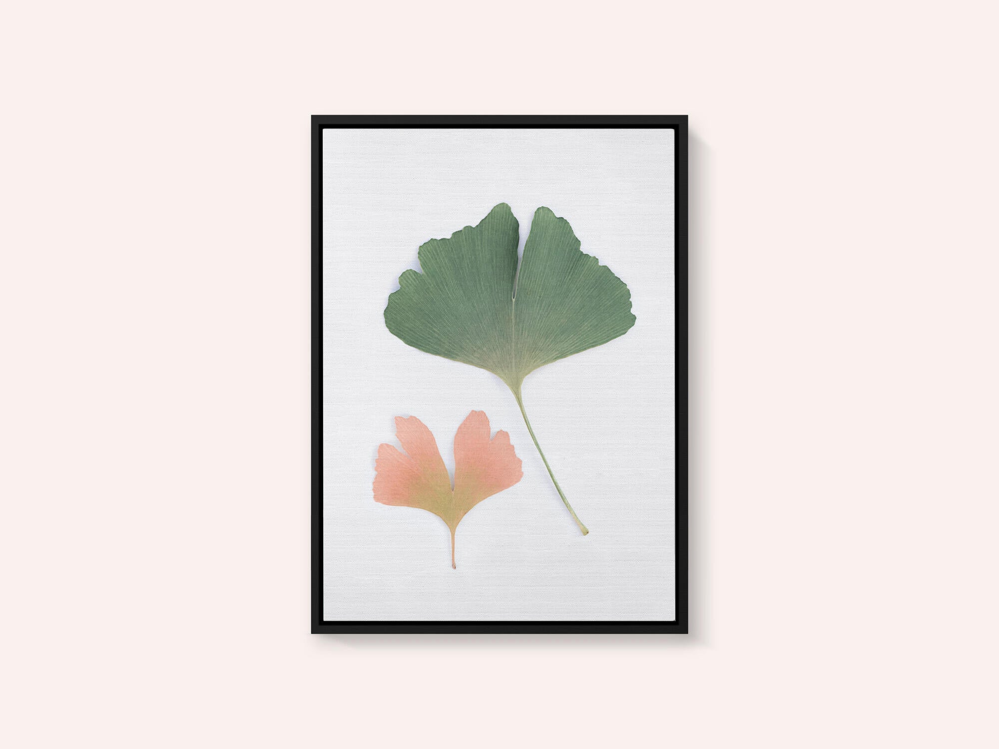 Pastel Ginkgo