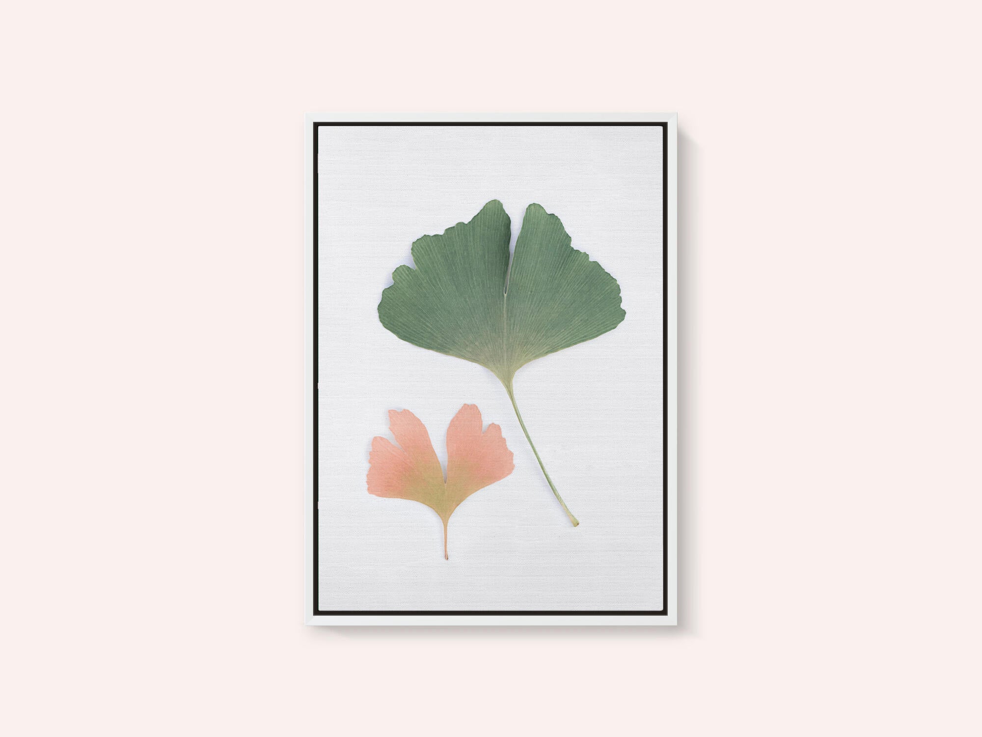 Pastel Ginkgo