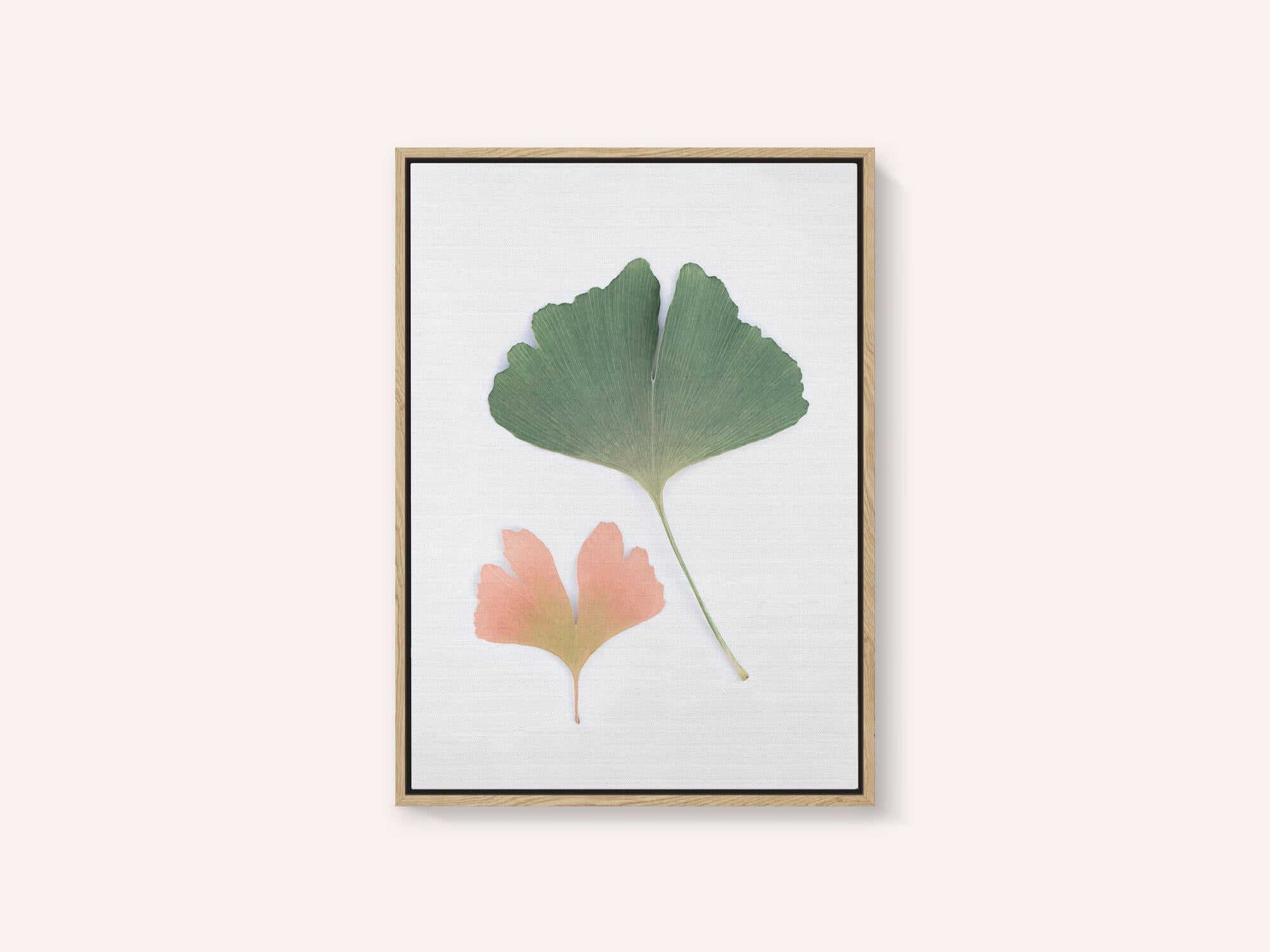 Pastel Ginkgo