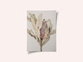 Banksia