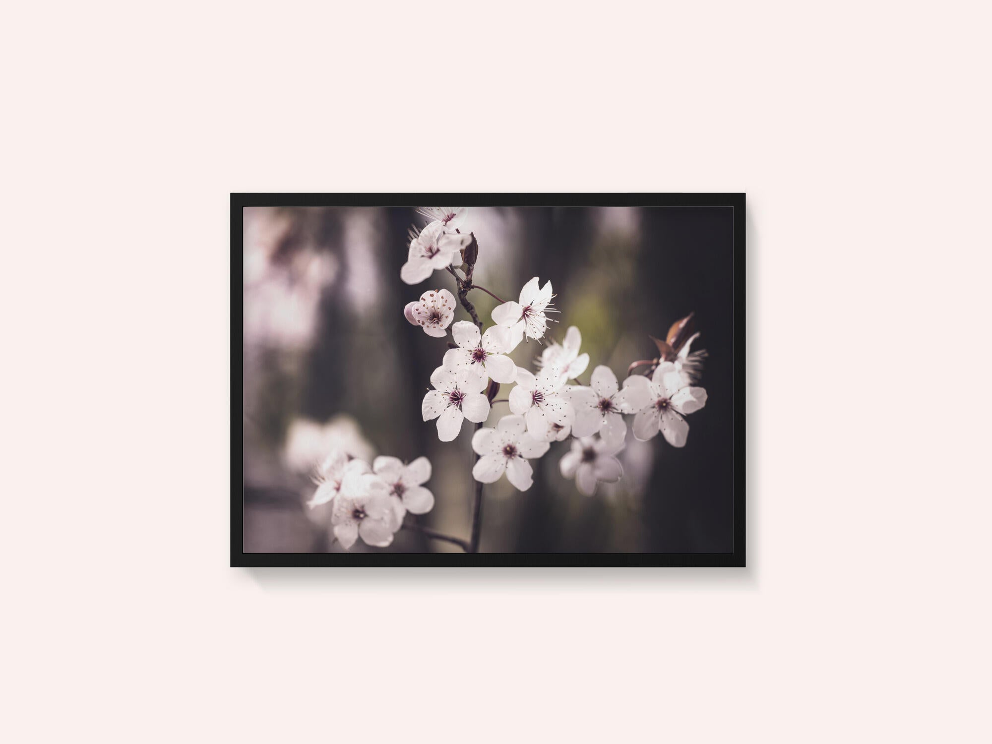 Blossoms