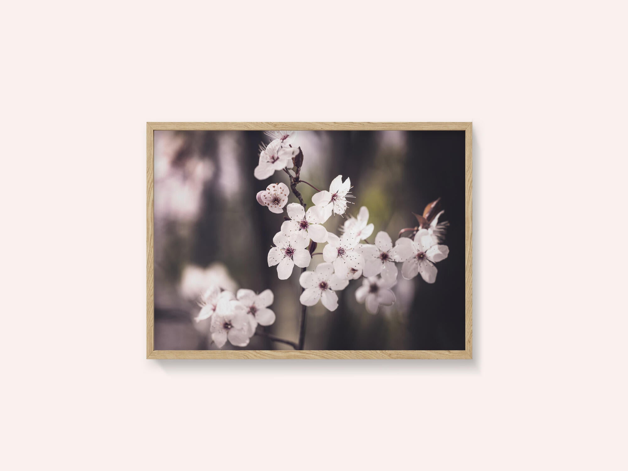 Blossoms