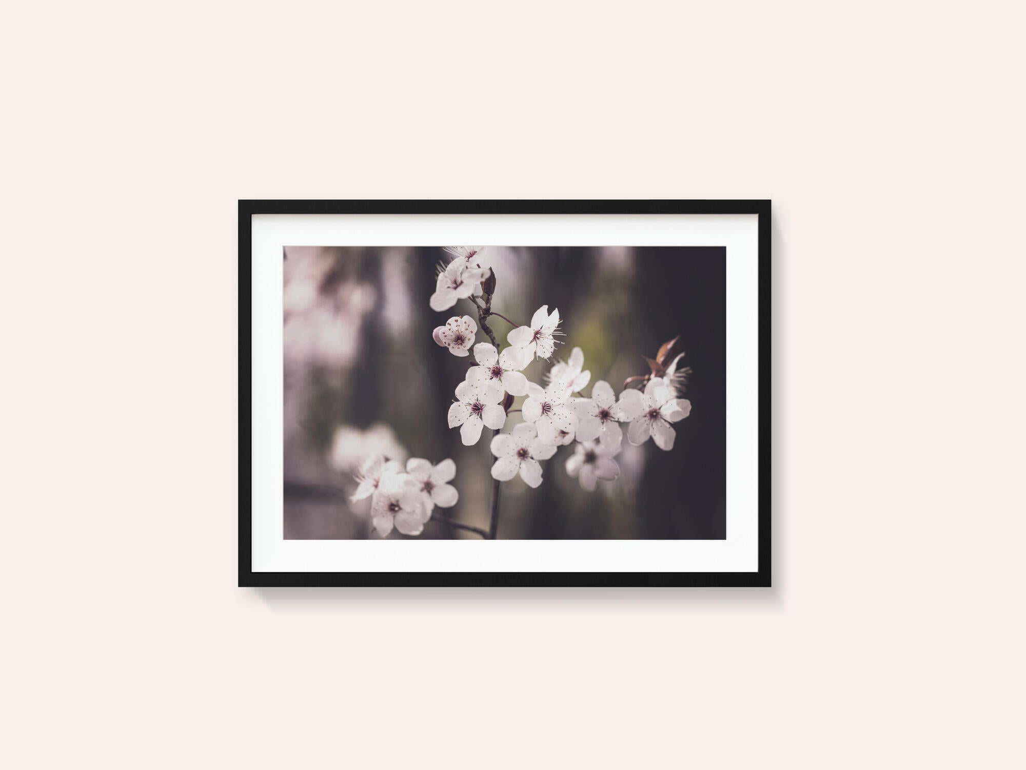 Blossoms