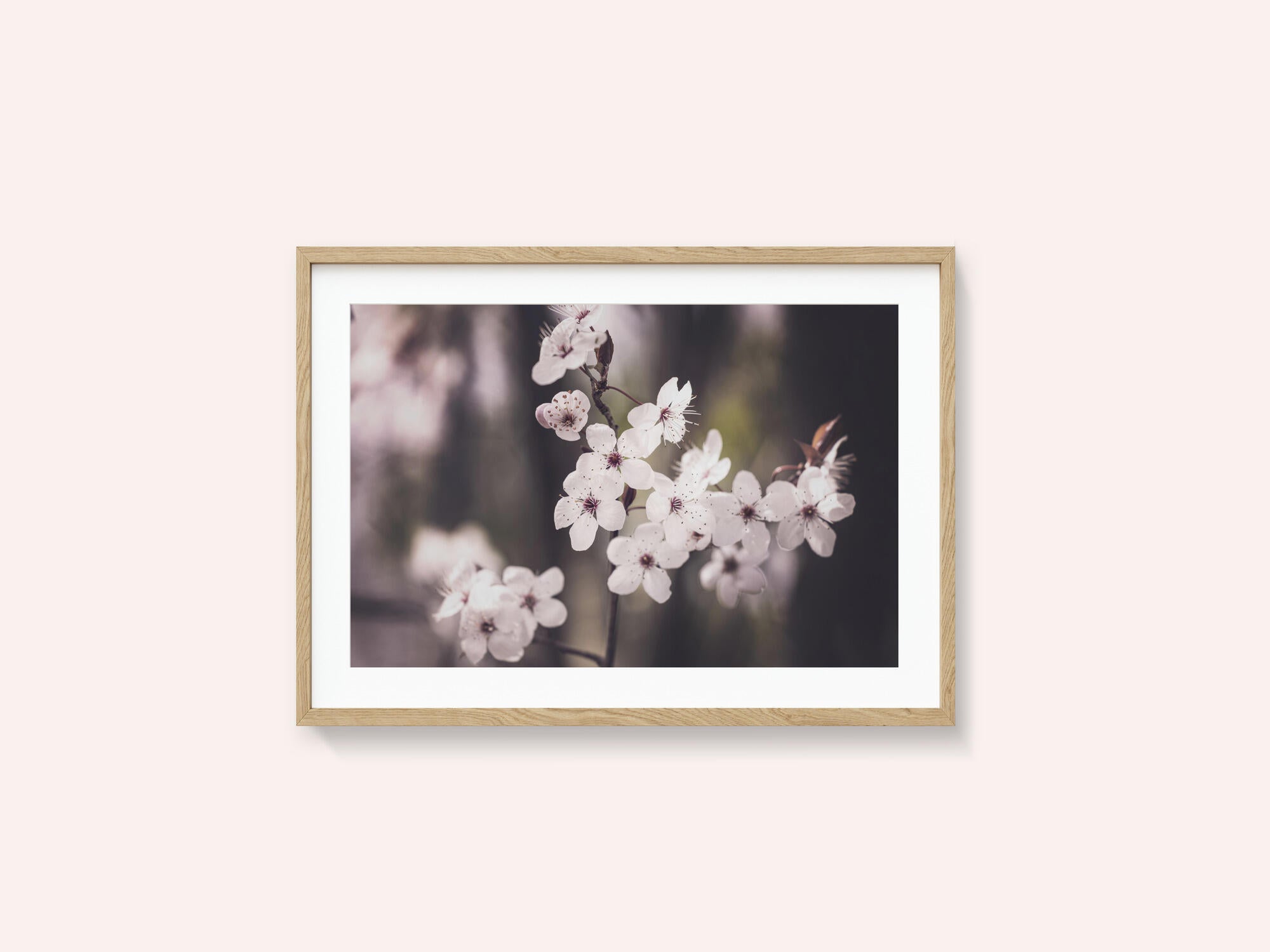 Blossoms