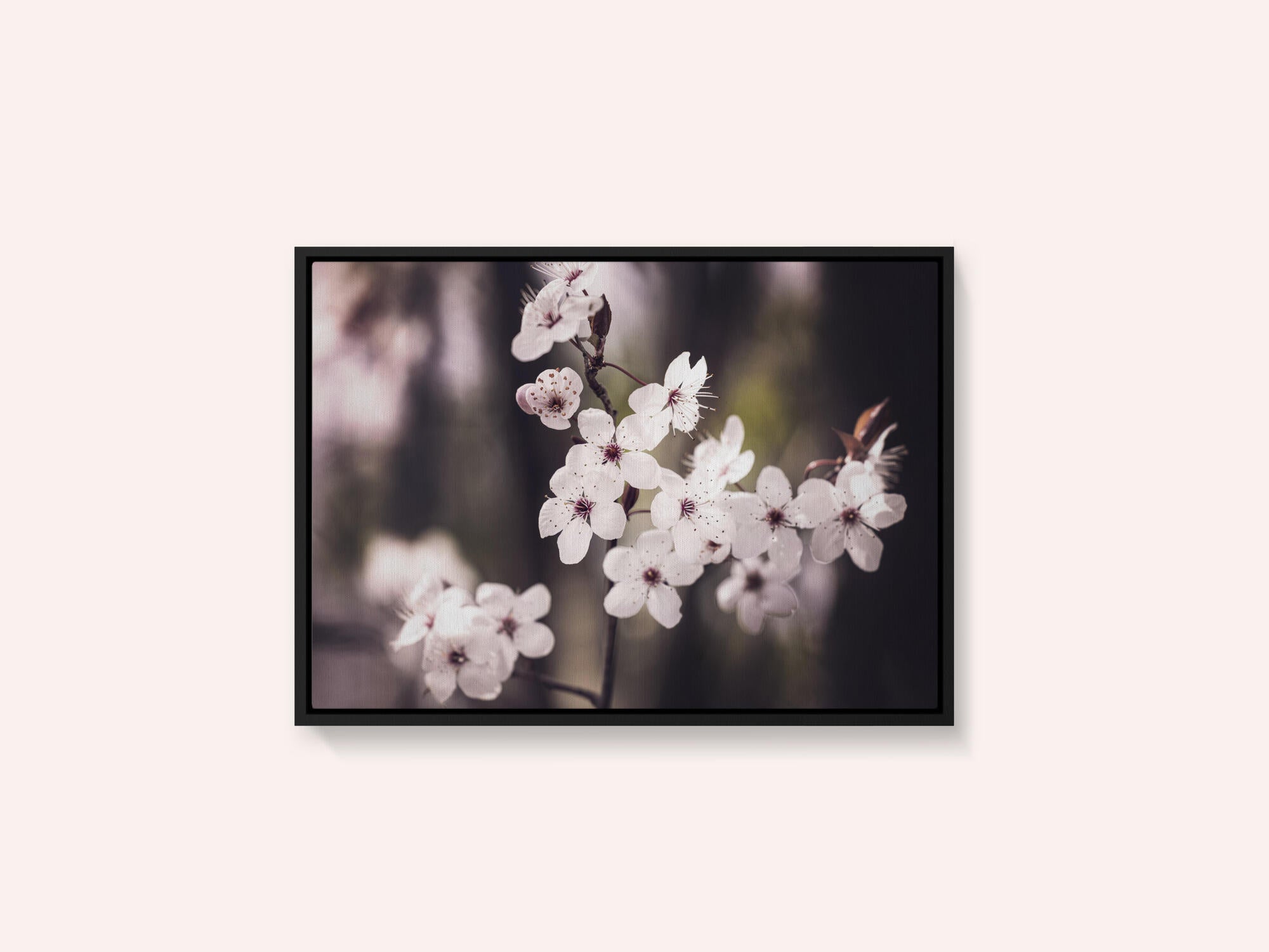 Blossoms