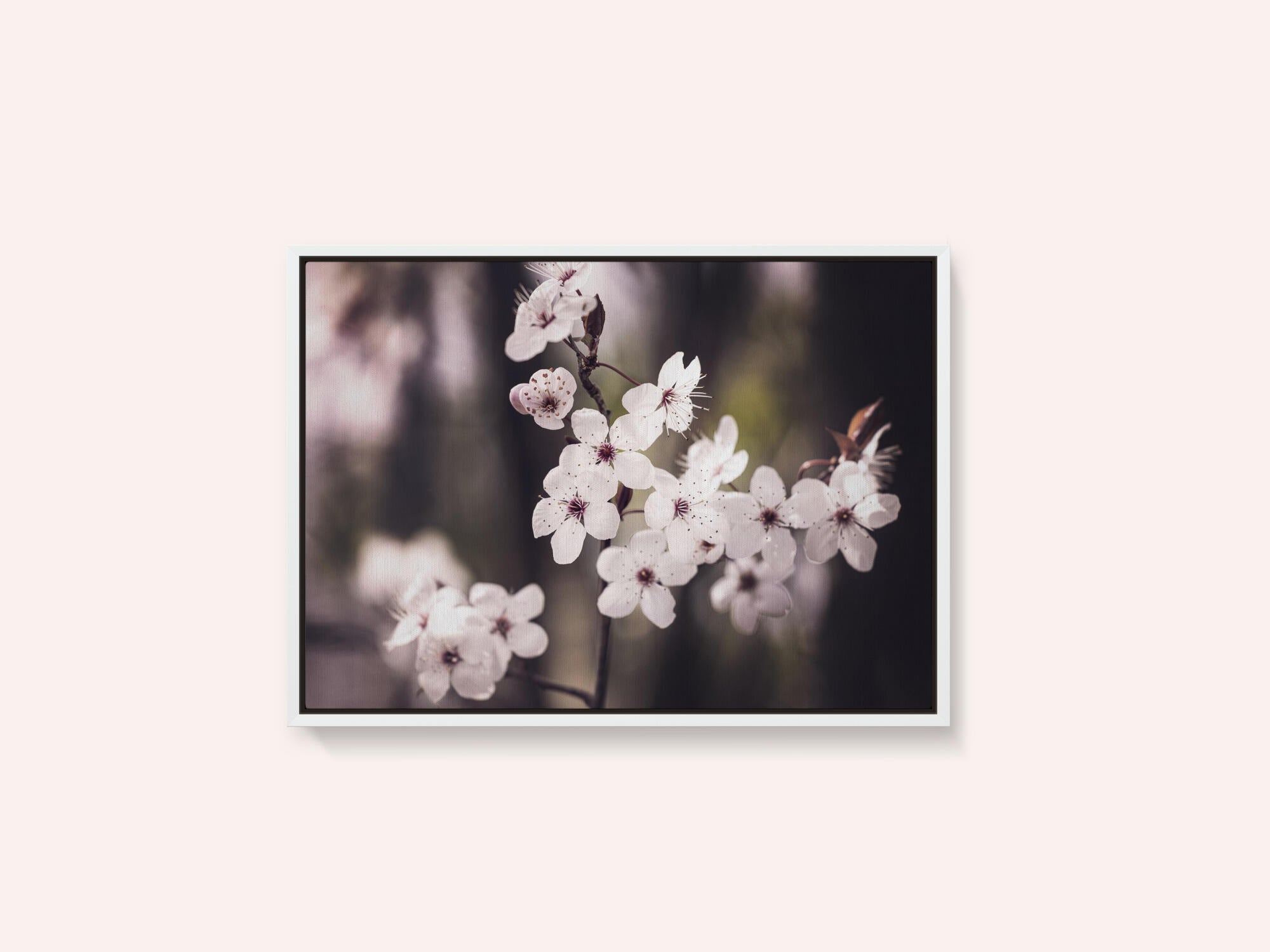 Blossoms