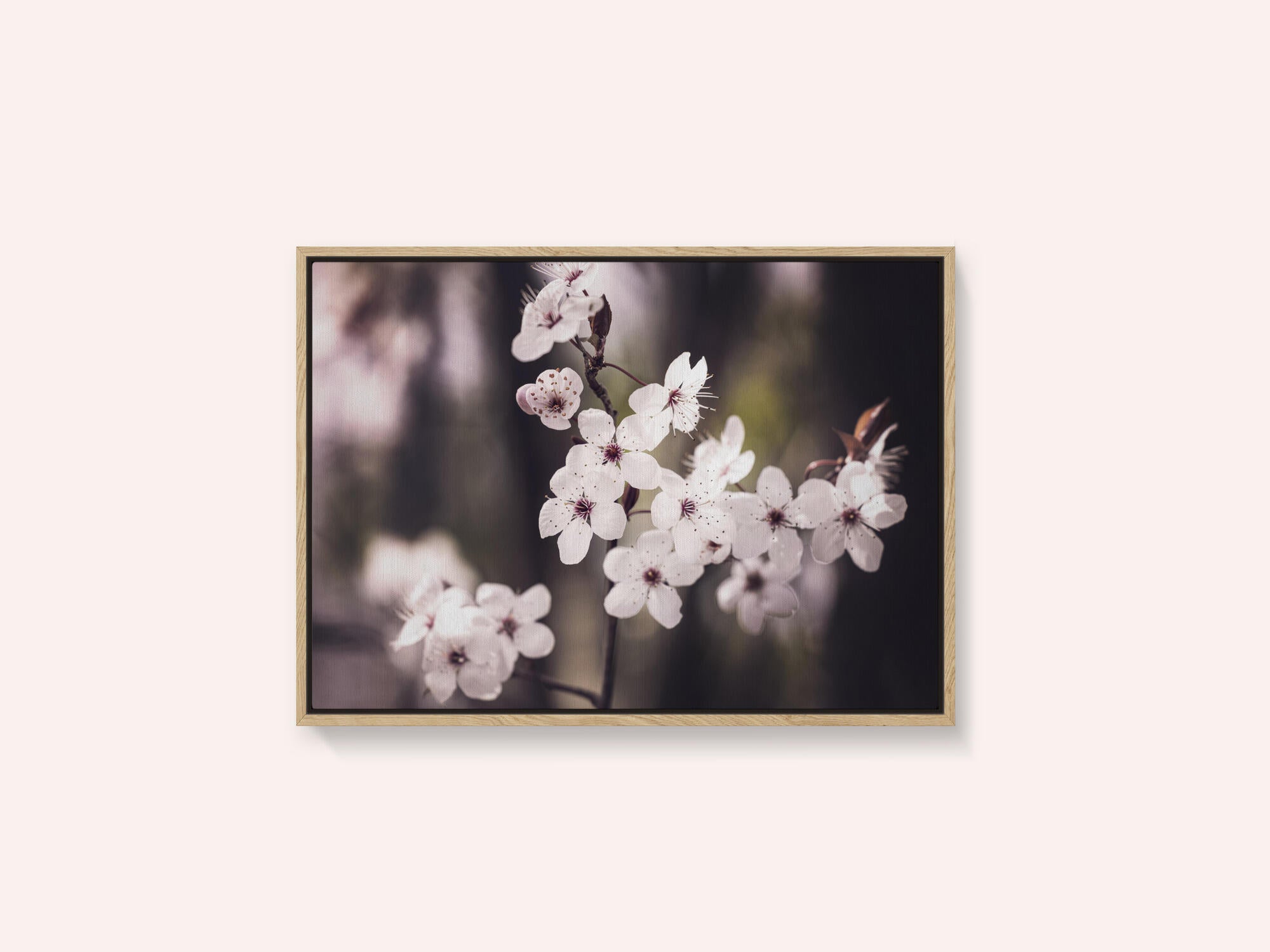 Blossoms