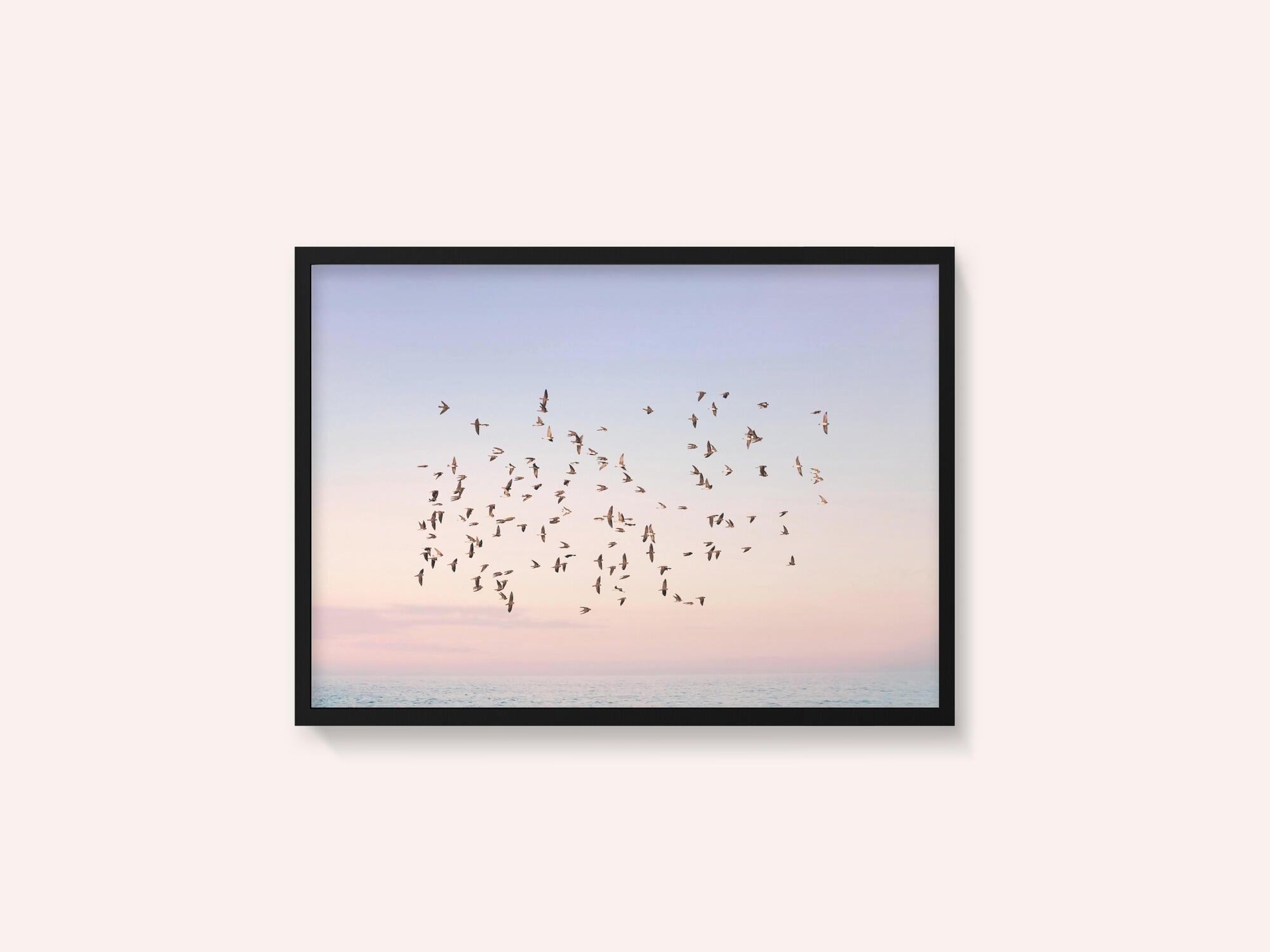 Sunset Flight