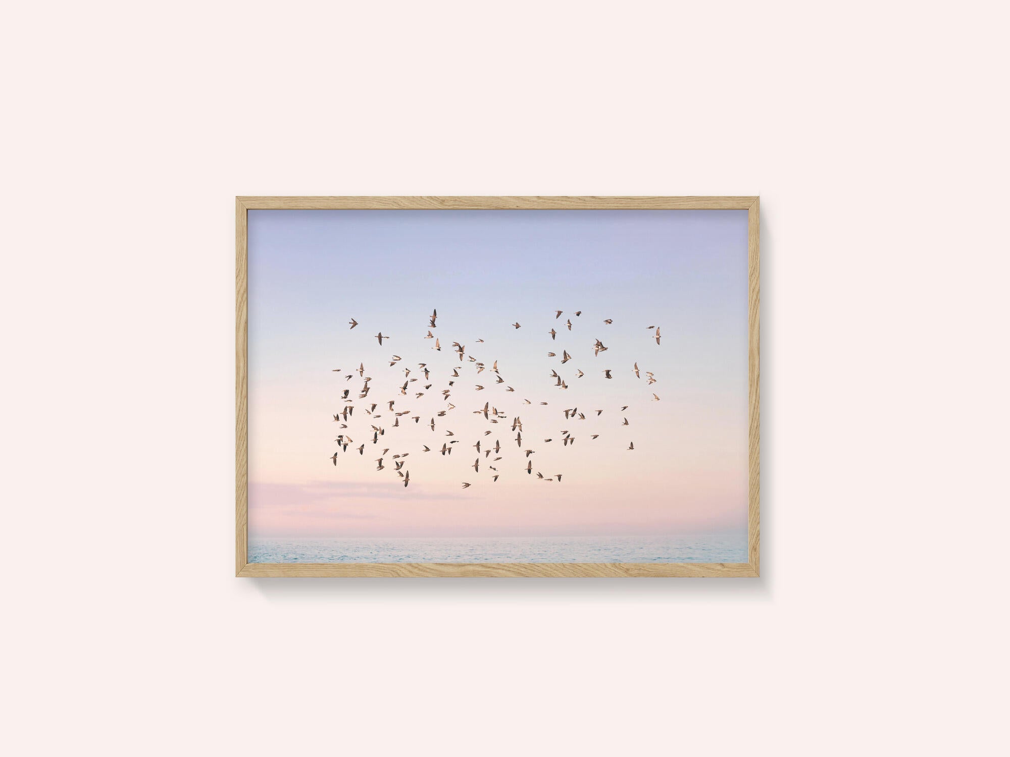 Sunset Flight