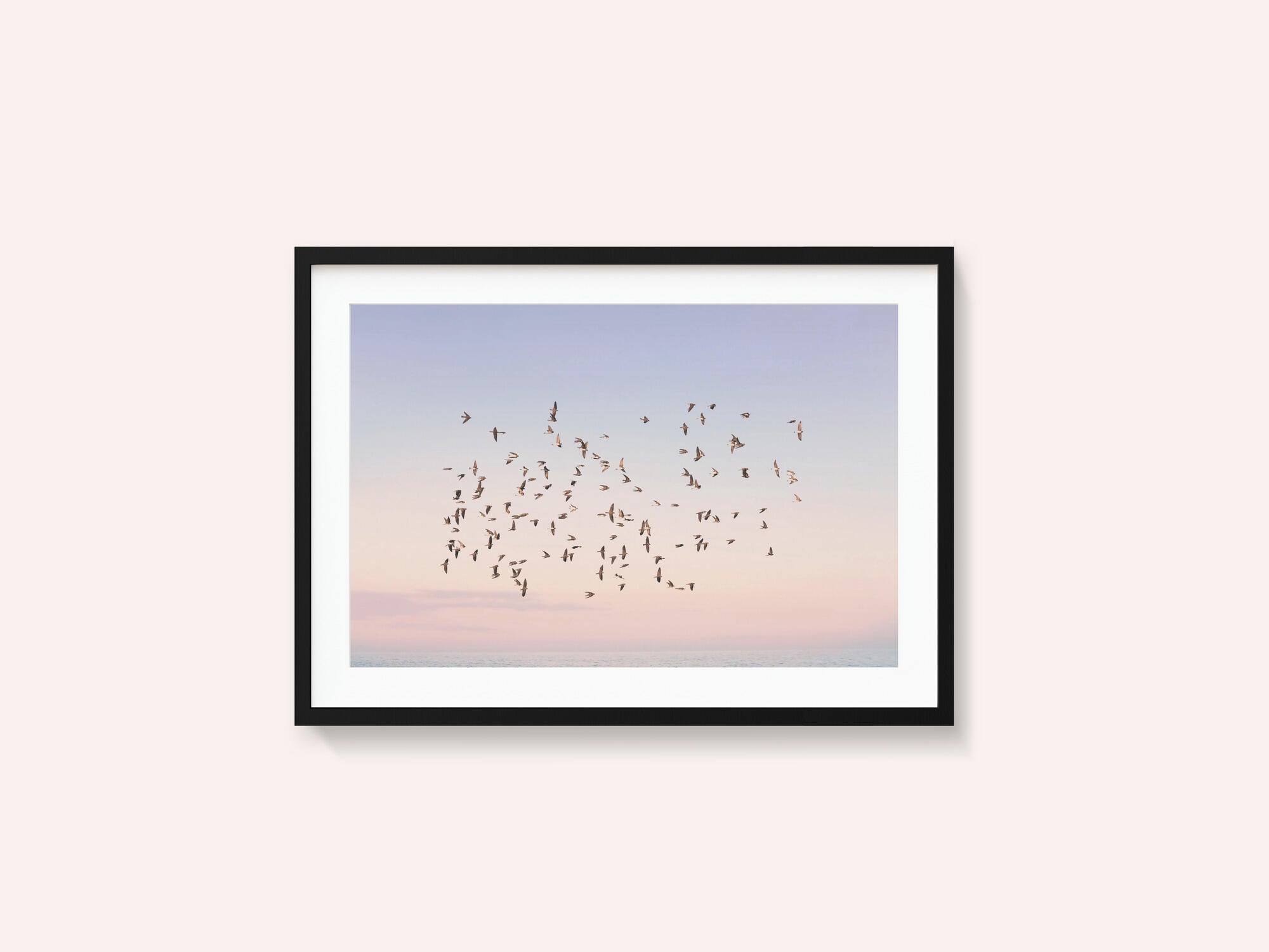 Sunset Flight