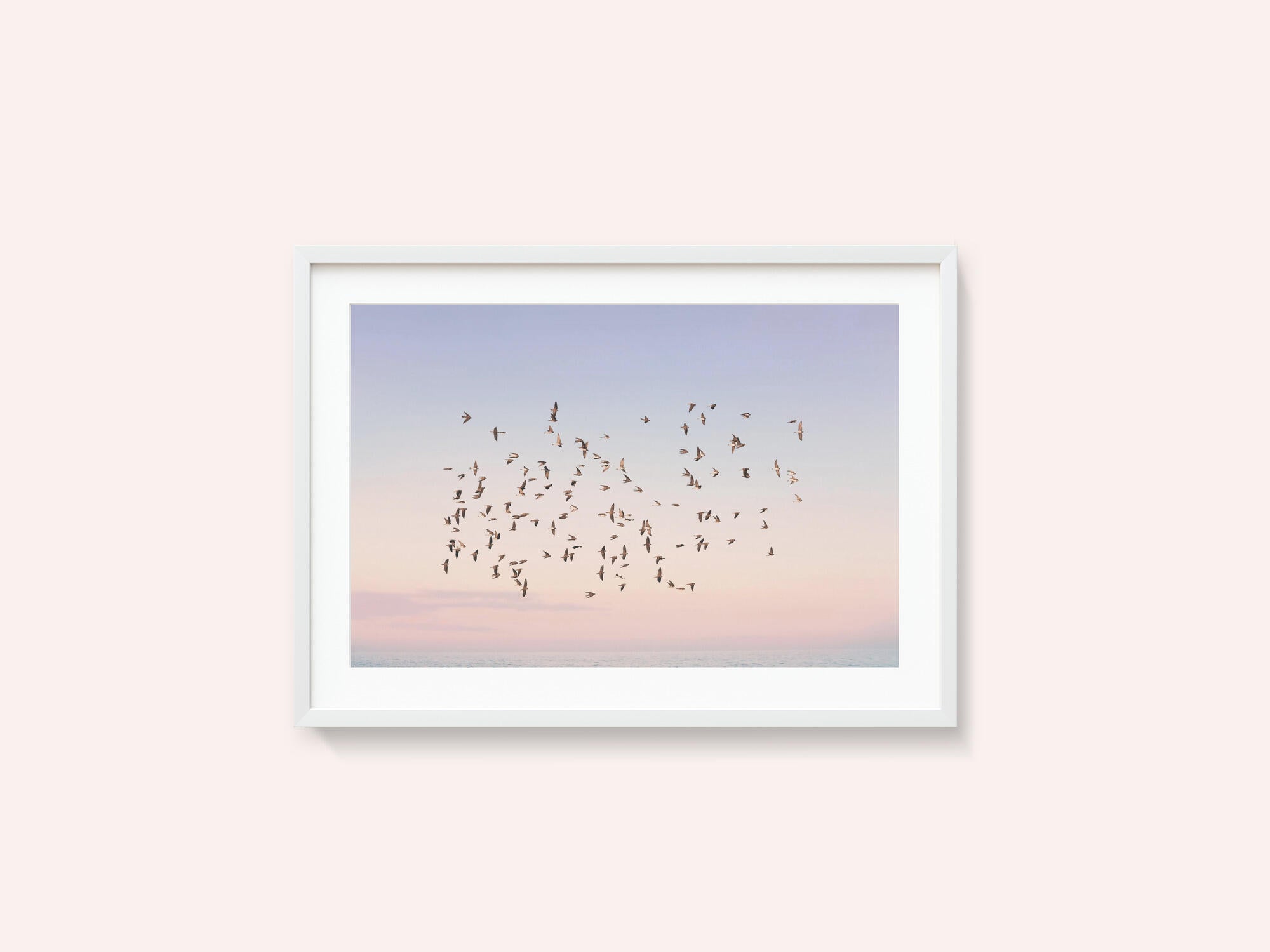 Sunset Flight
