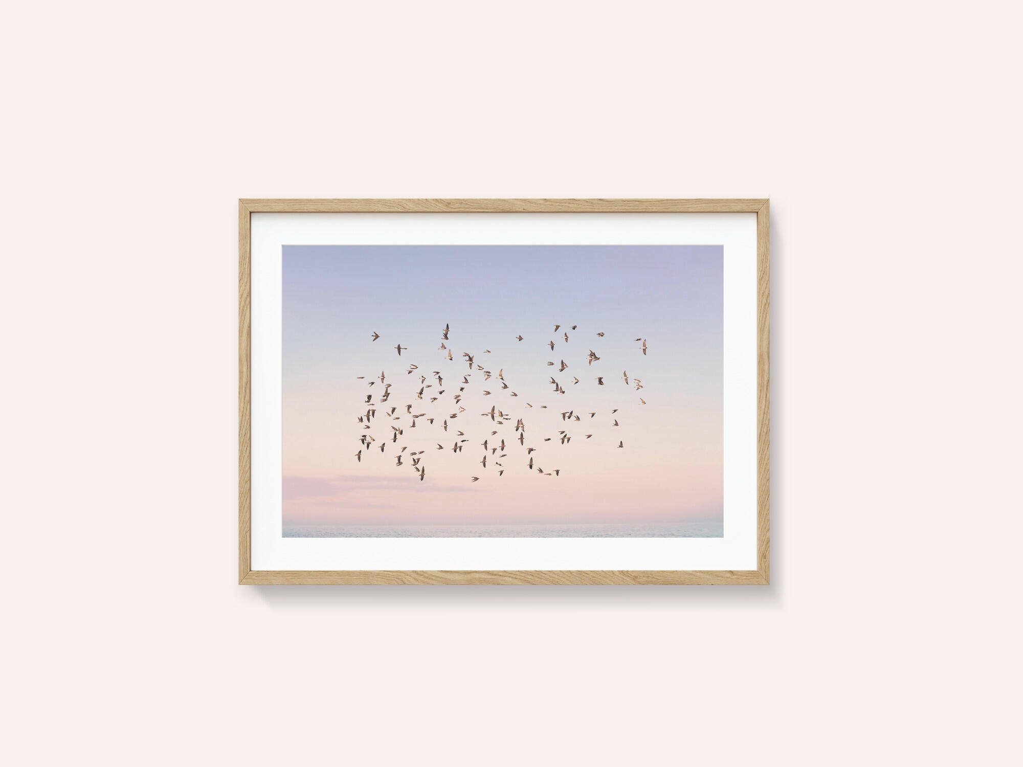 Sunset Flight