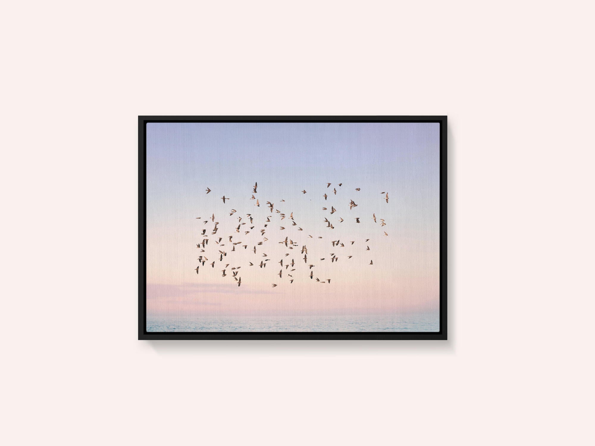 Sunset Flight