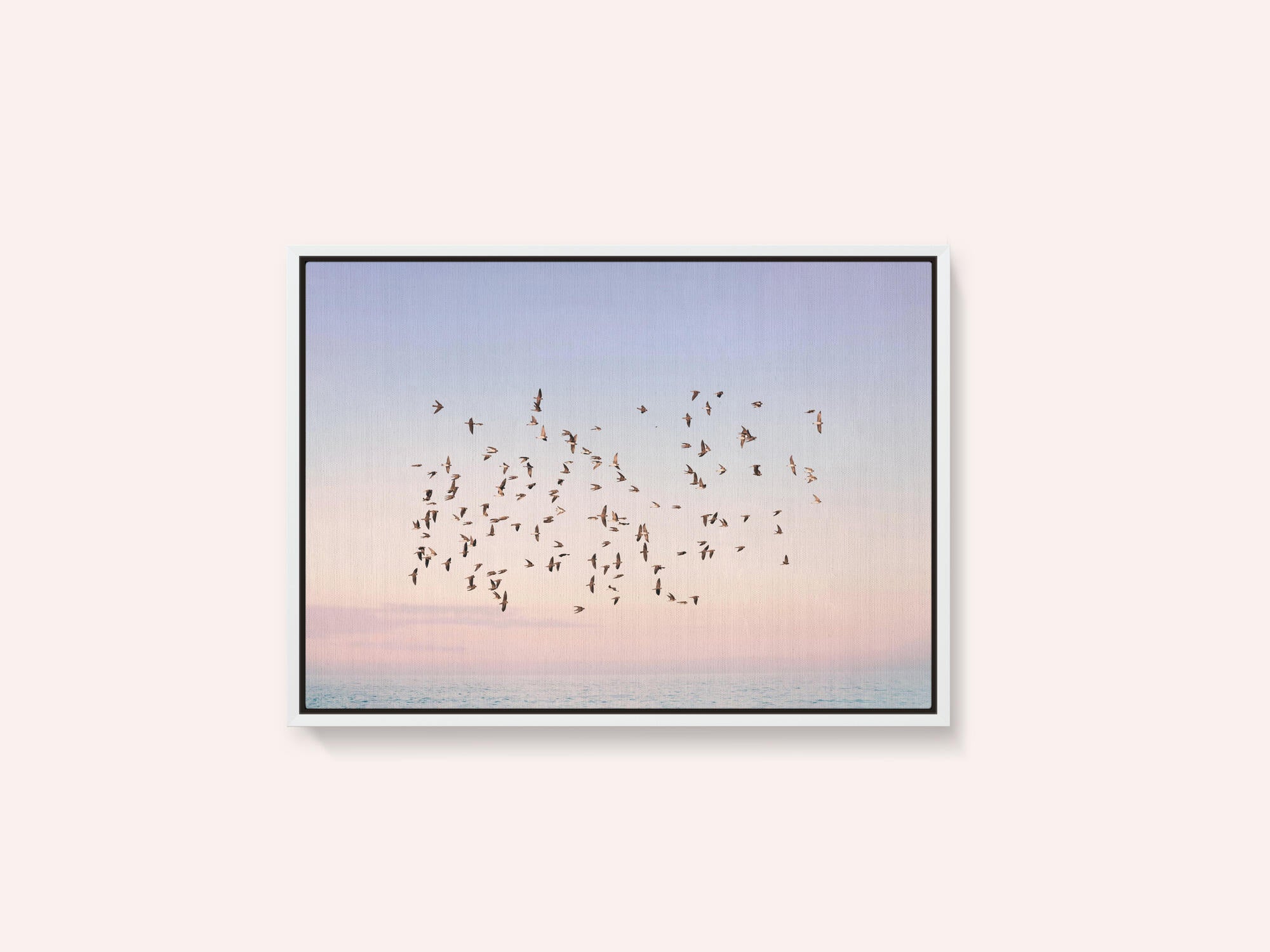 Sunset Flight