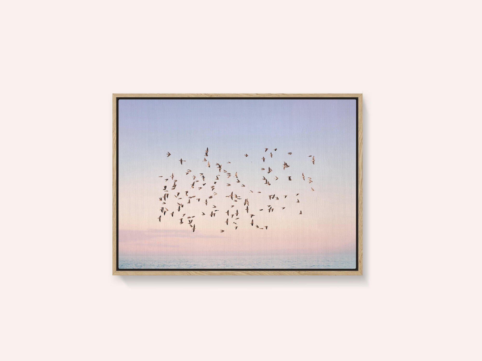 Sunset Flight