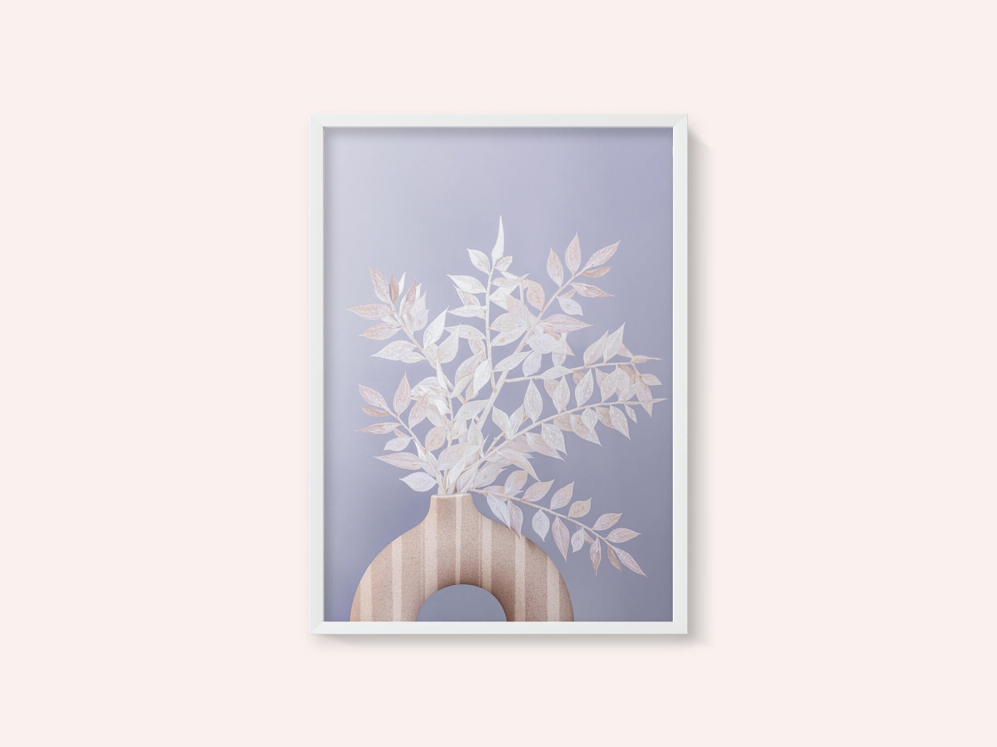 Ruscus