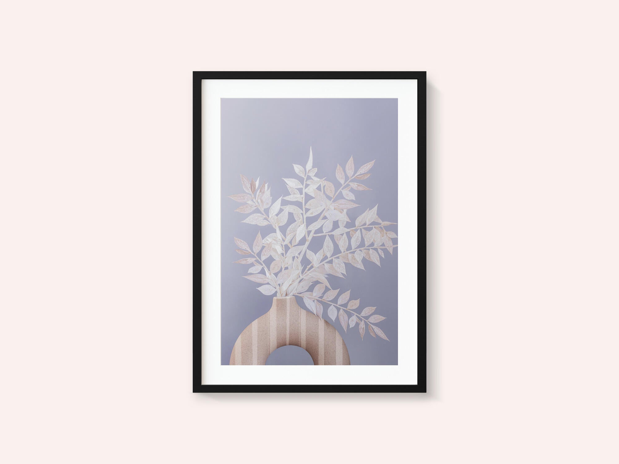 Ruscus