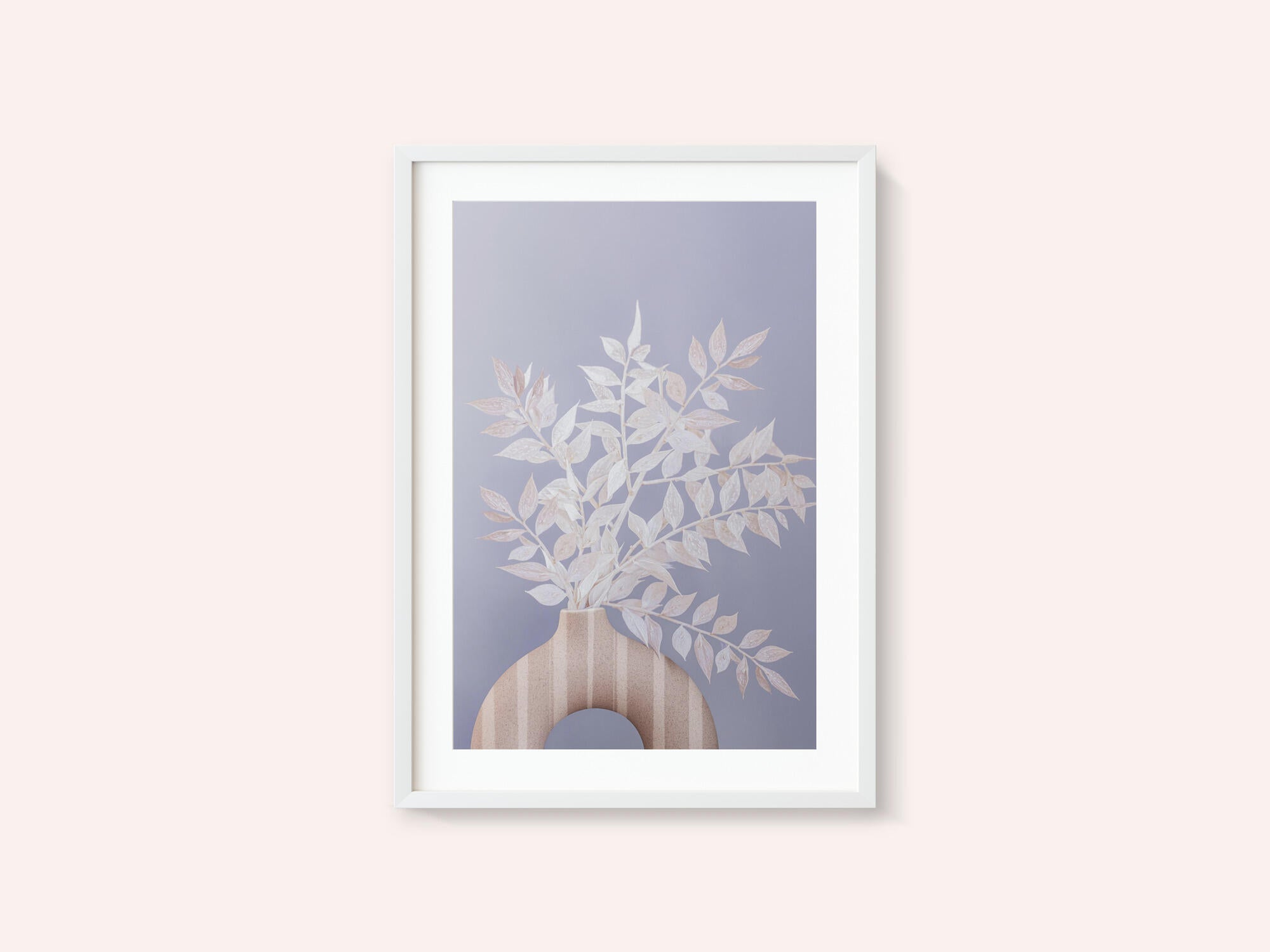 Ruscus