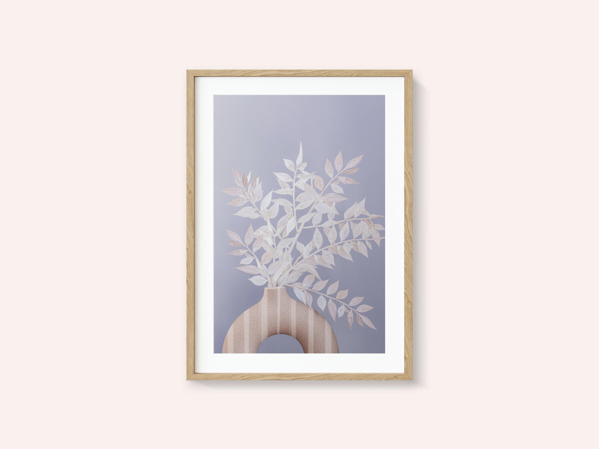 Ruscus