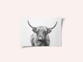 Highland Bull