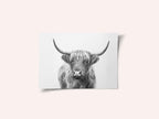 Highland Bull