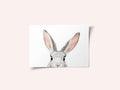 Peeking Bunny