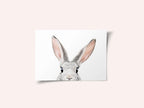 Peeking Bunny