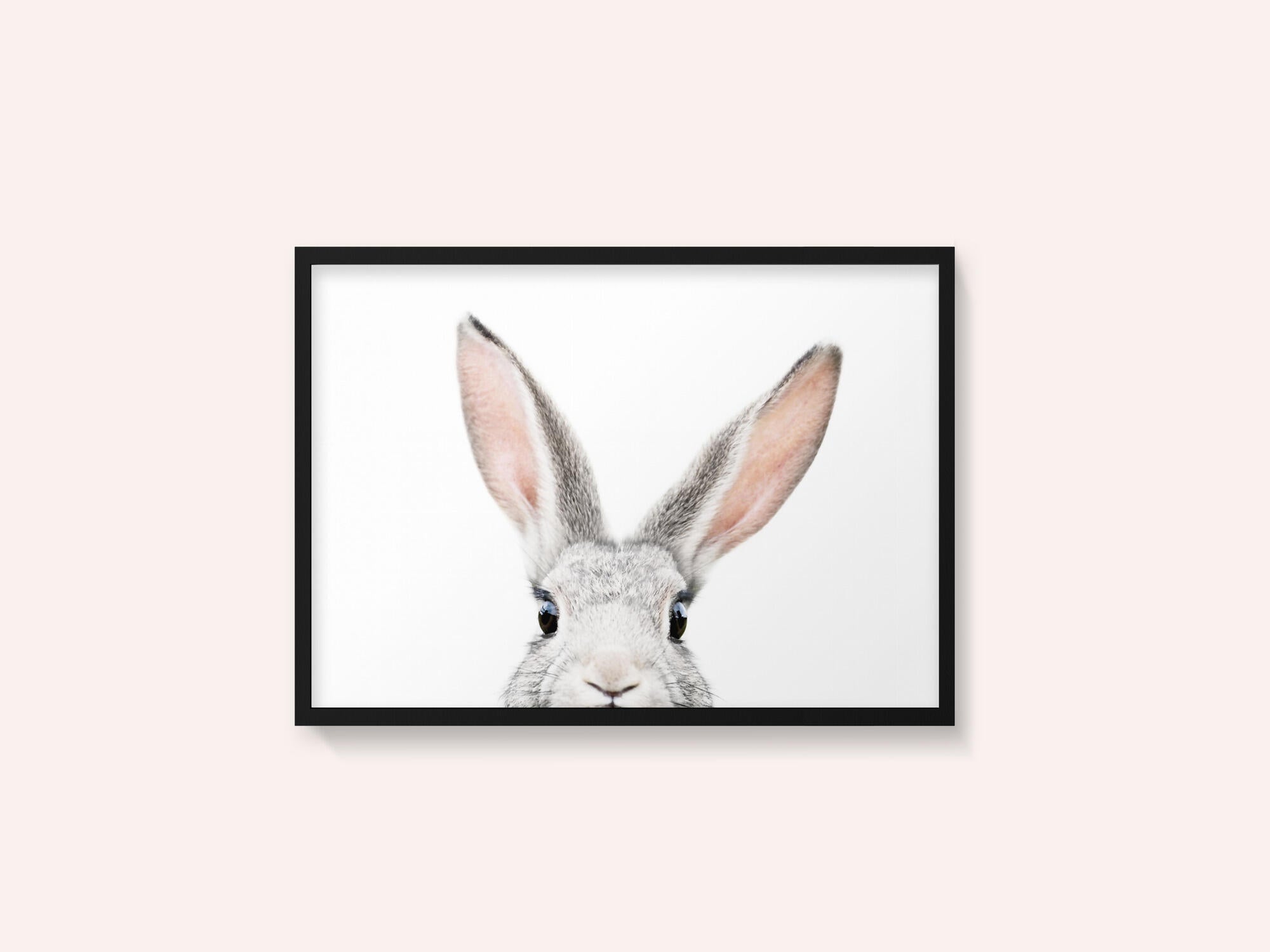 Peeking Bunny