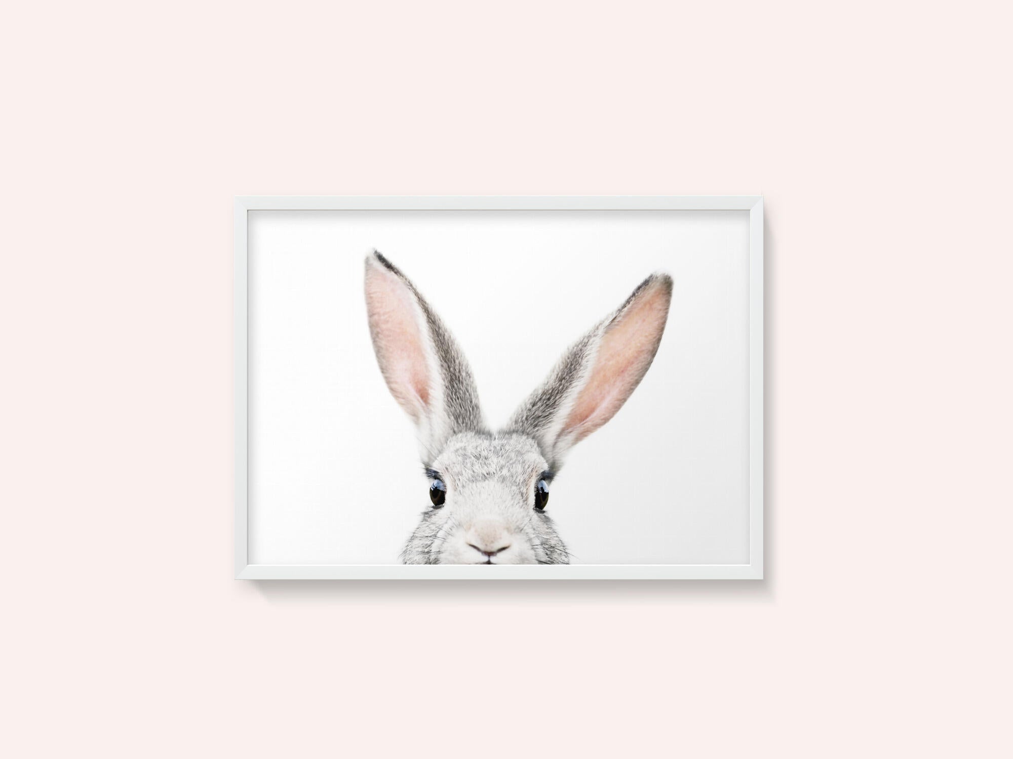 Peeking Bunny