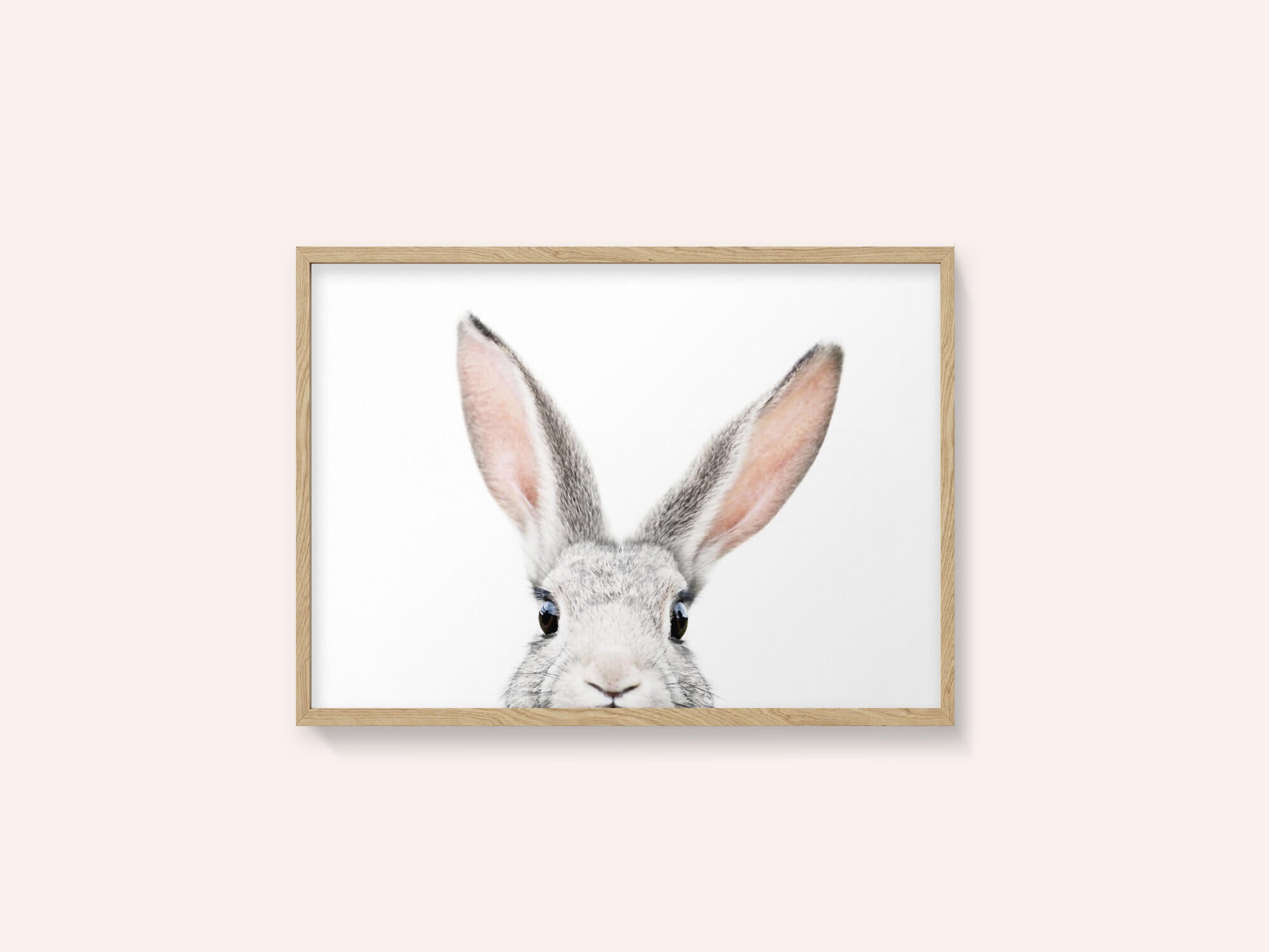 Peeking Bunny