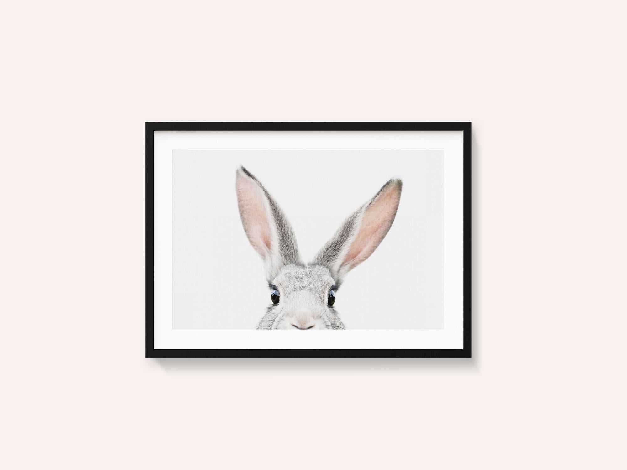 Peeking Bunny