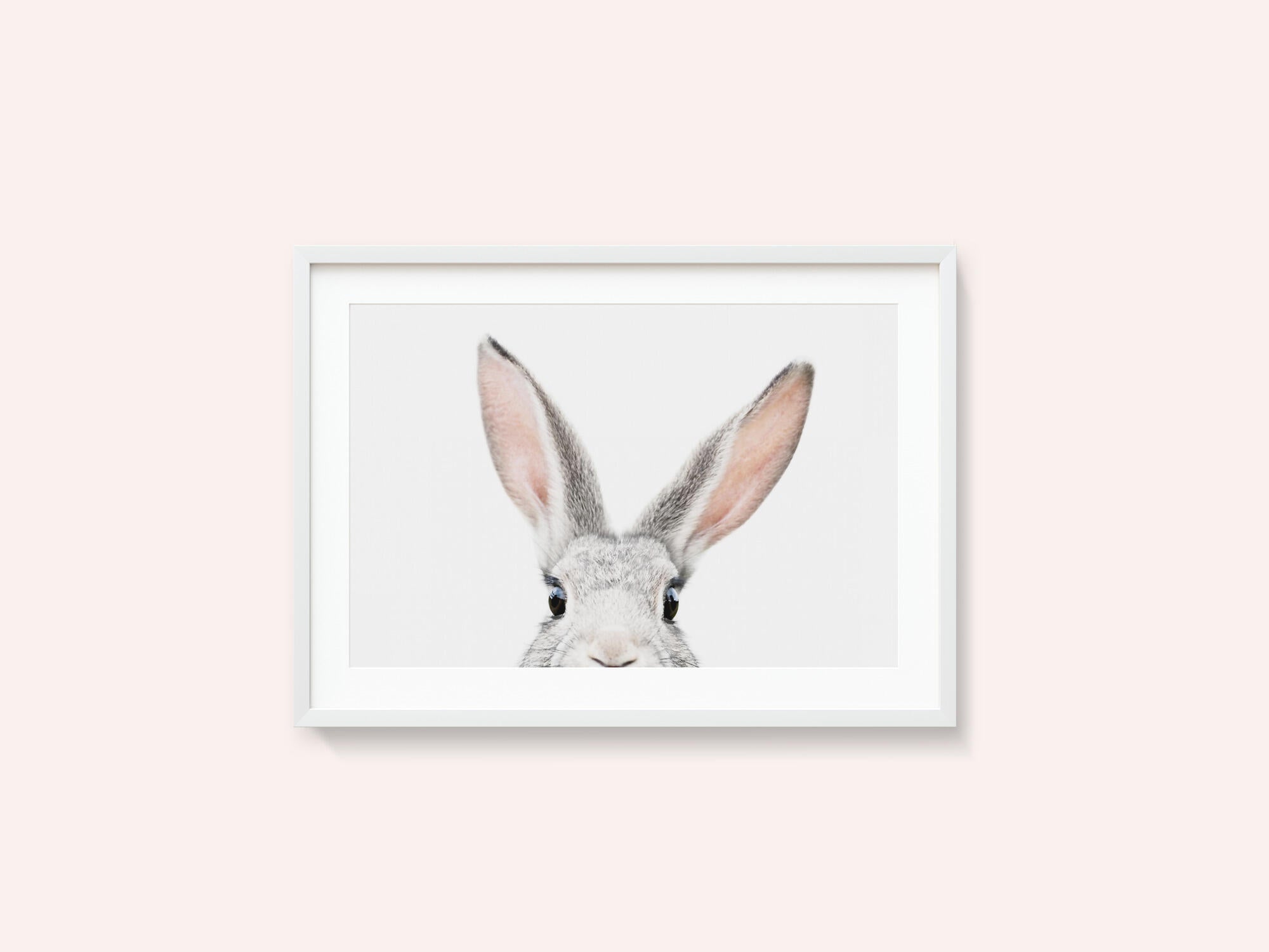 Peeking Bunny