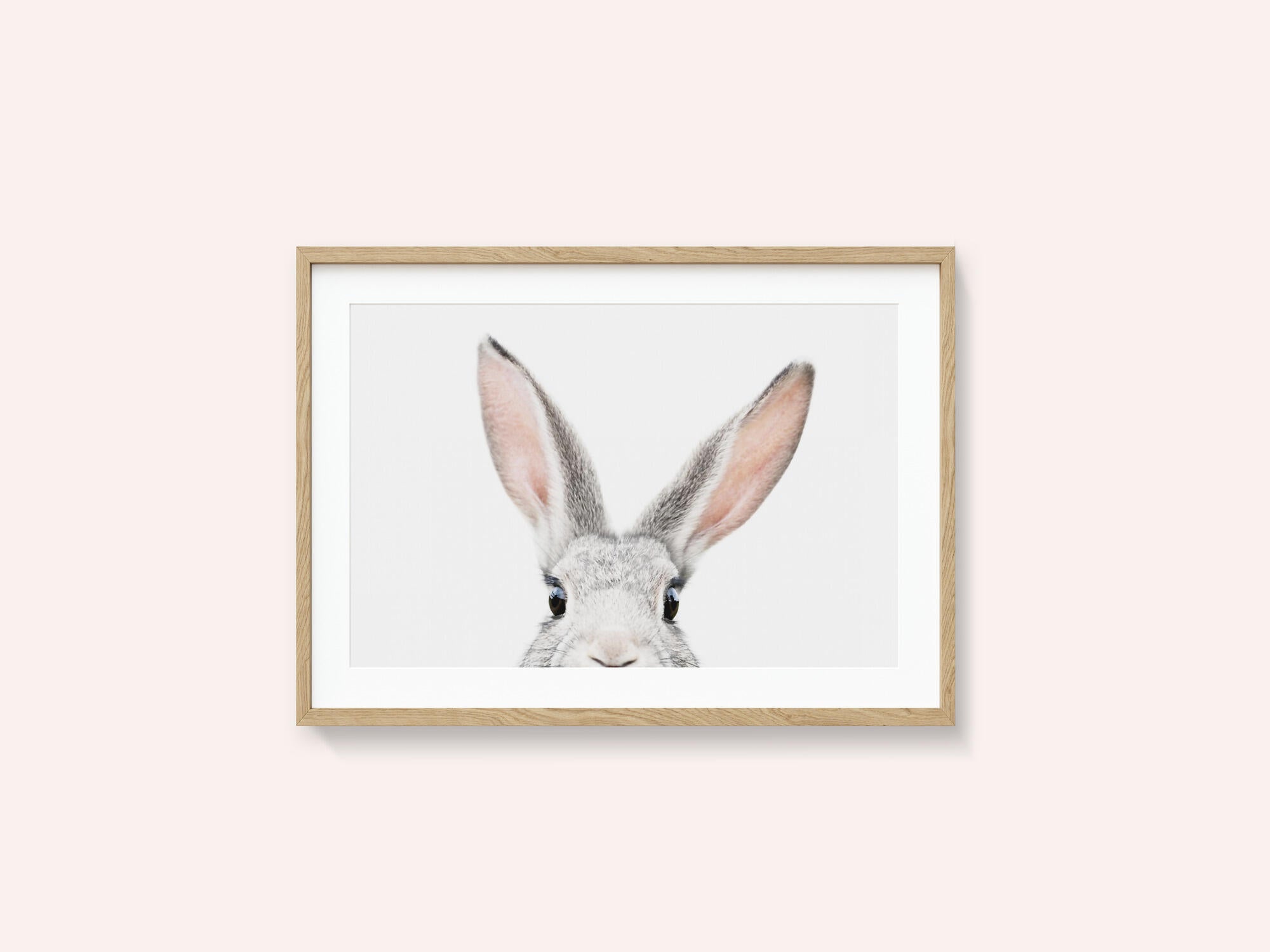Peeking Bunny