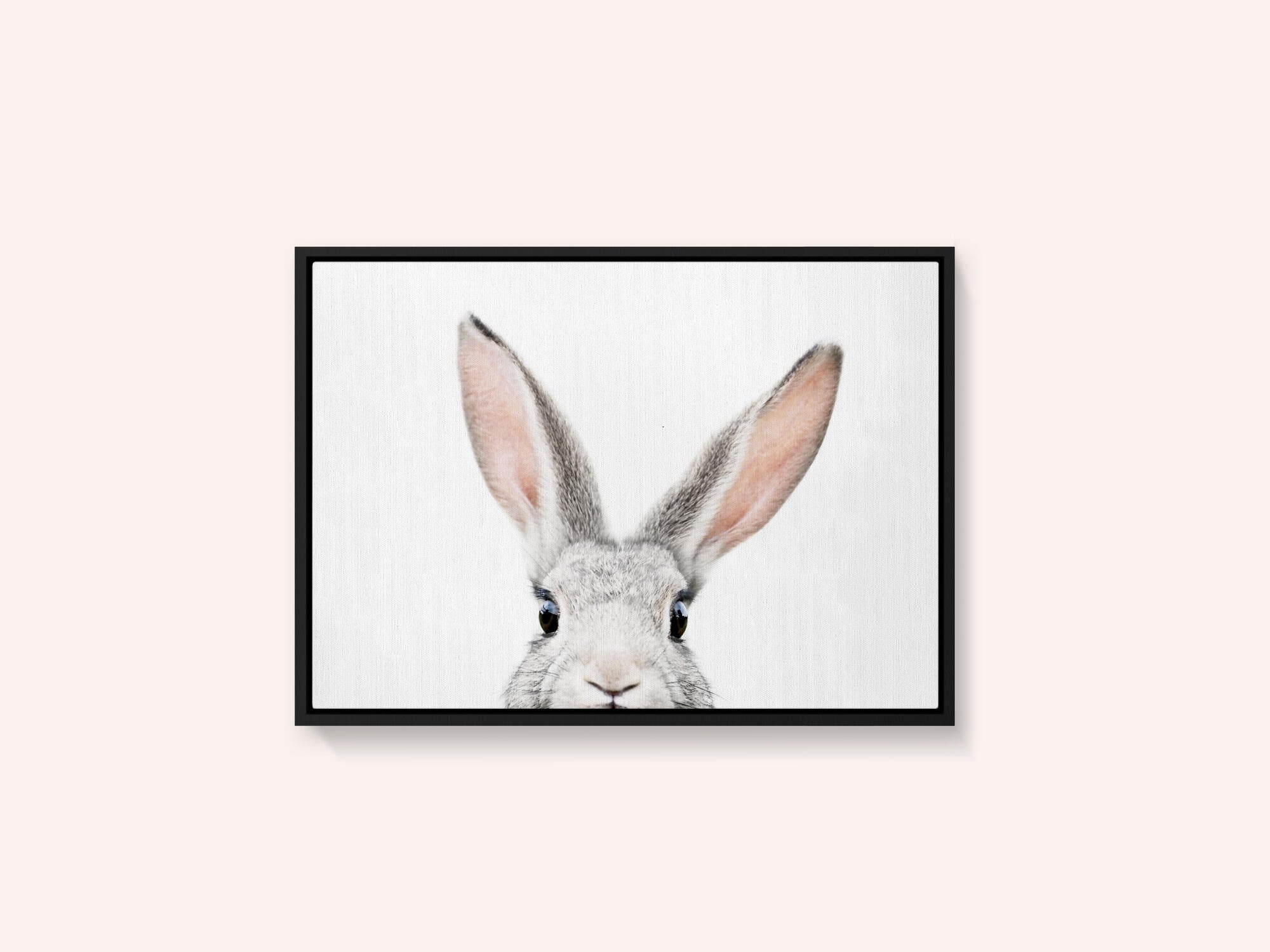 Peeking Bunny
