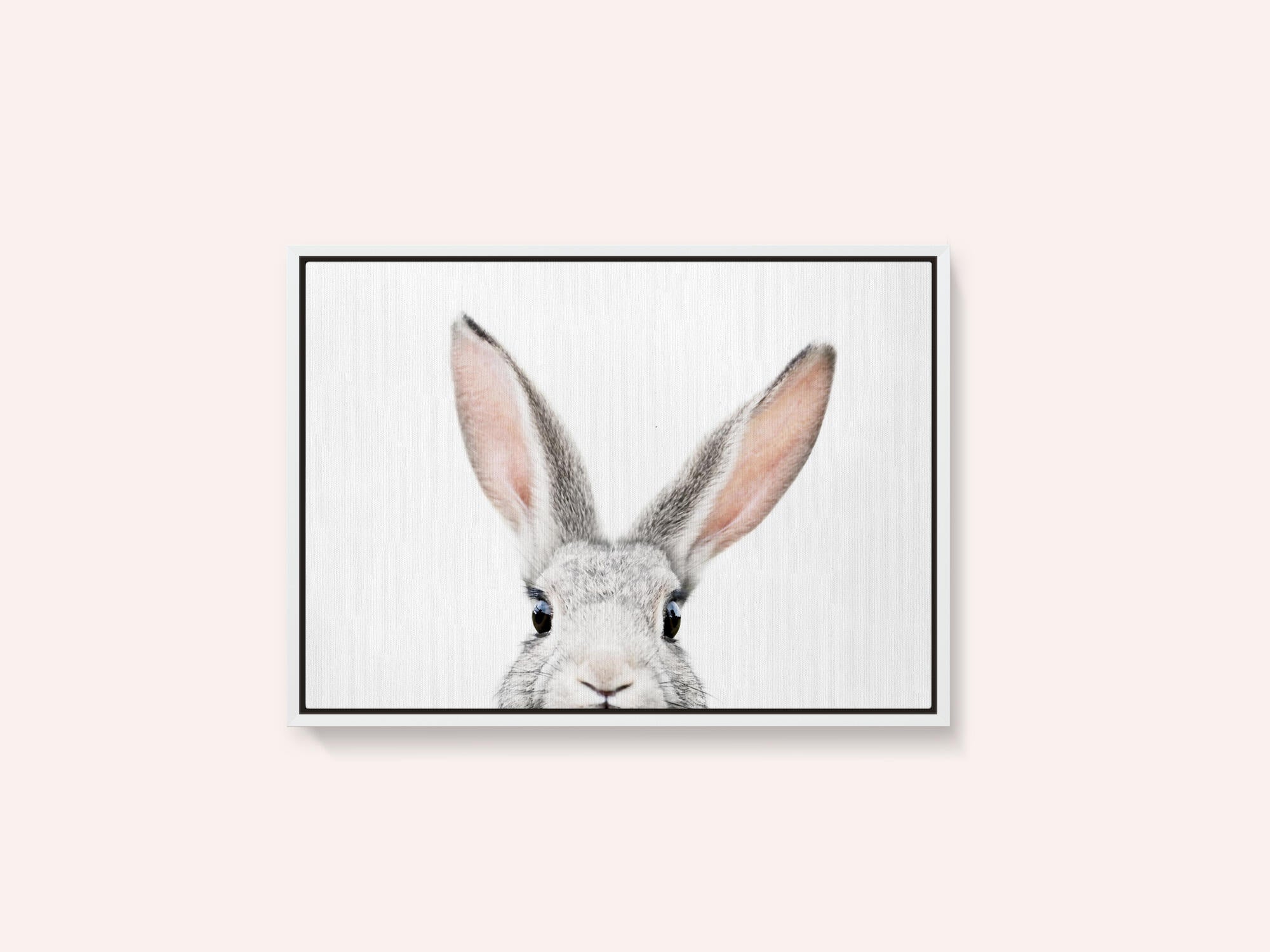 Peeking Bunny