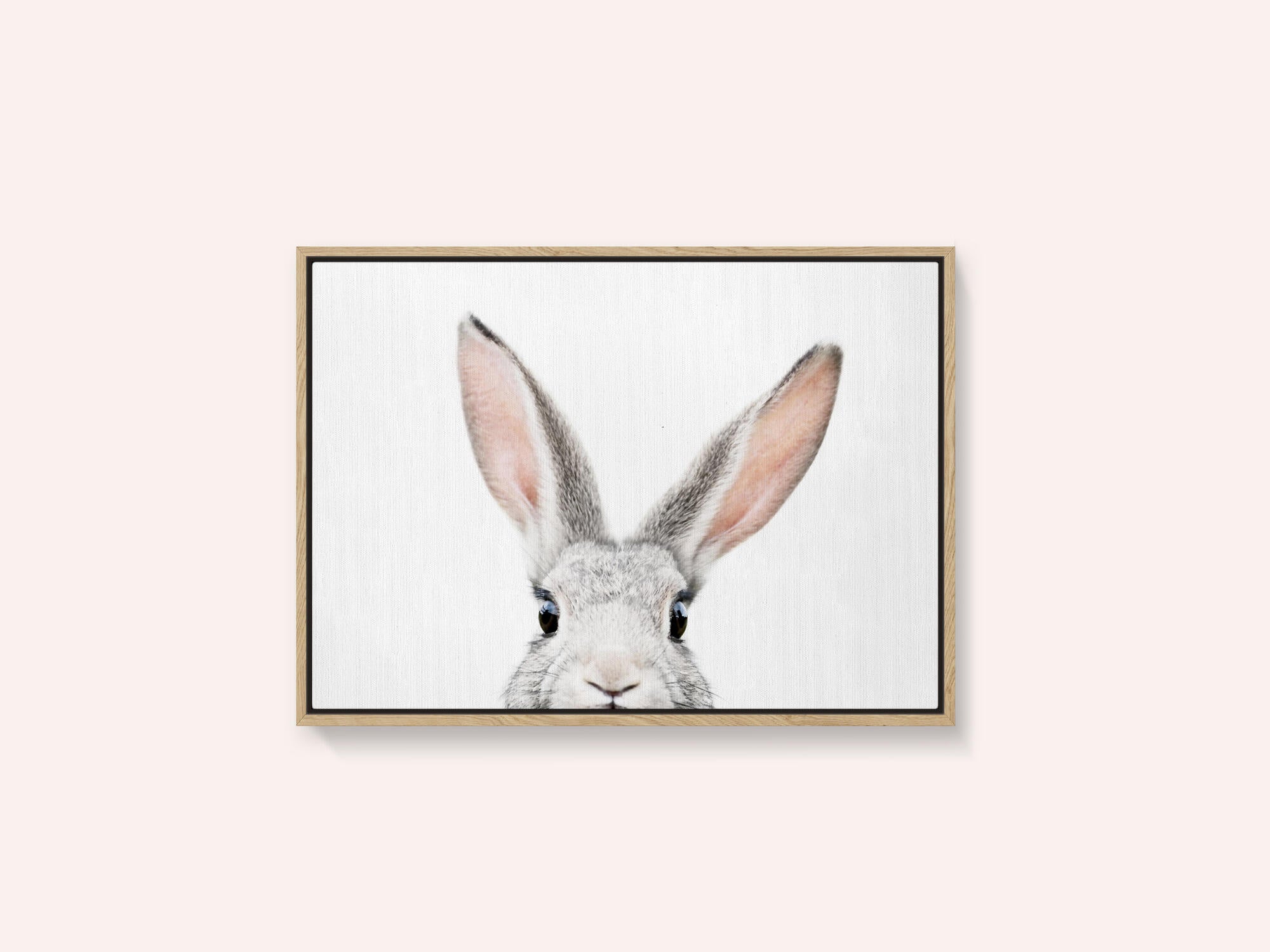 Peeking Bunny