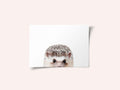 Peeking Hedgehog