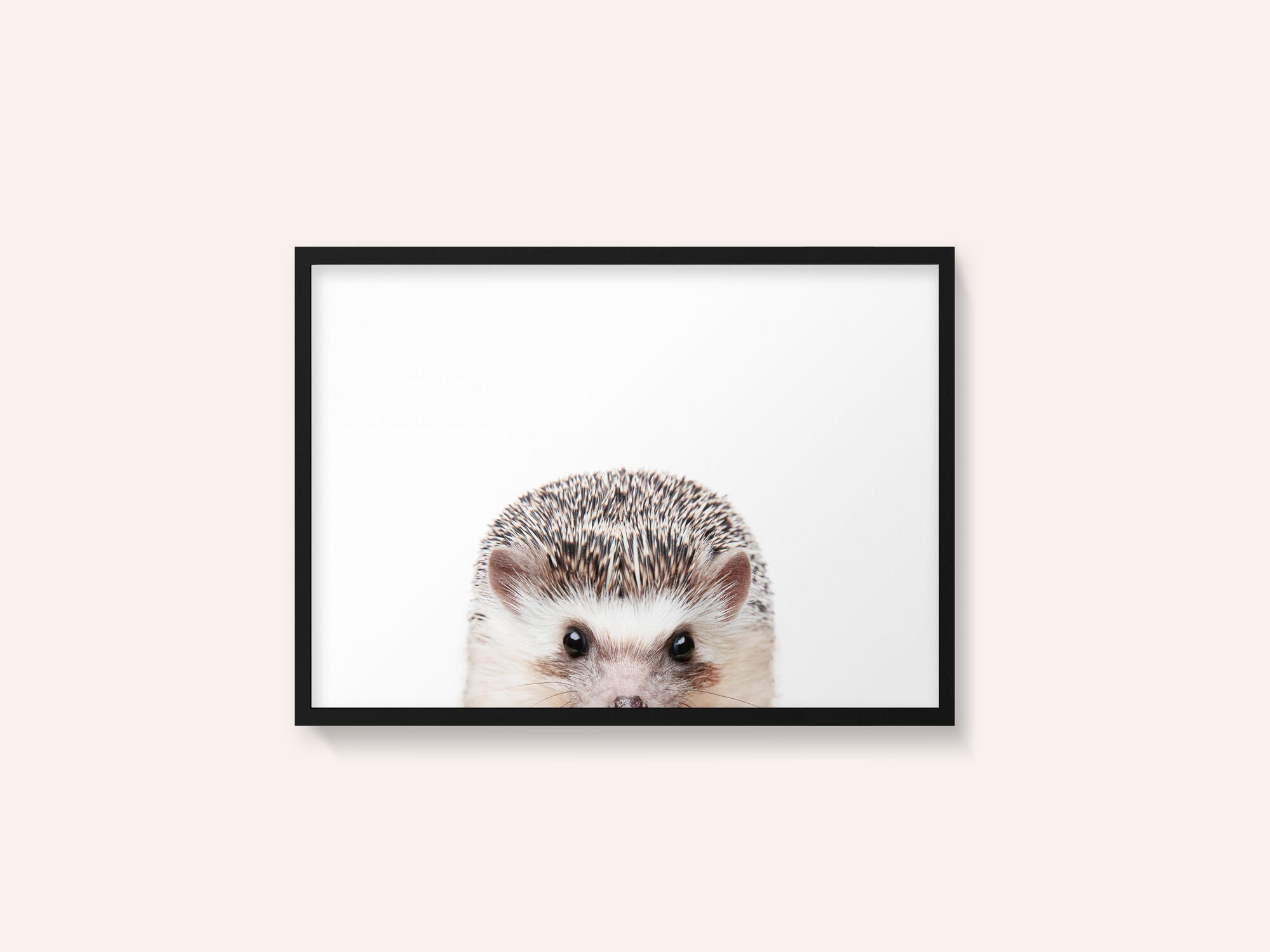 Peeking Hedgehog