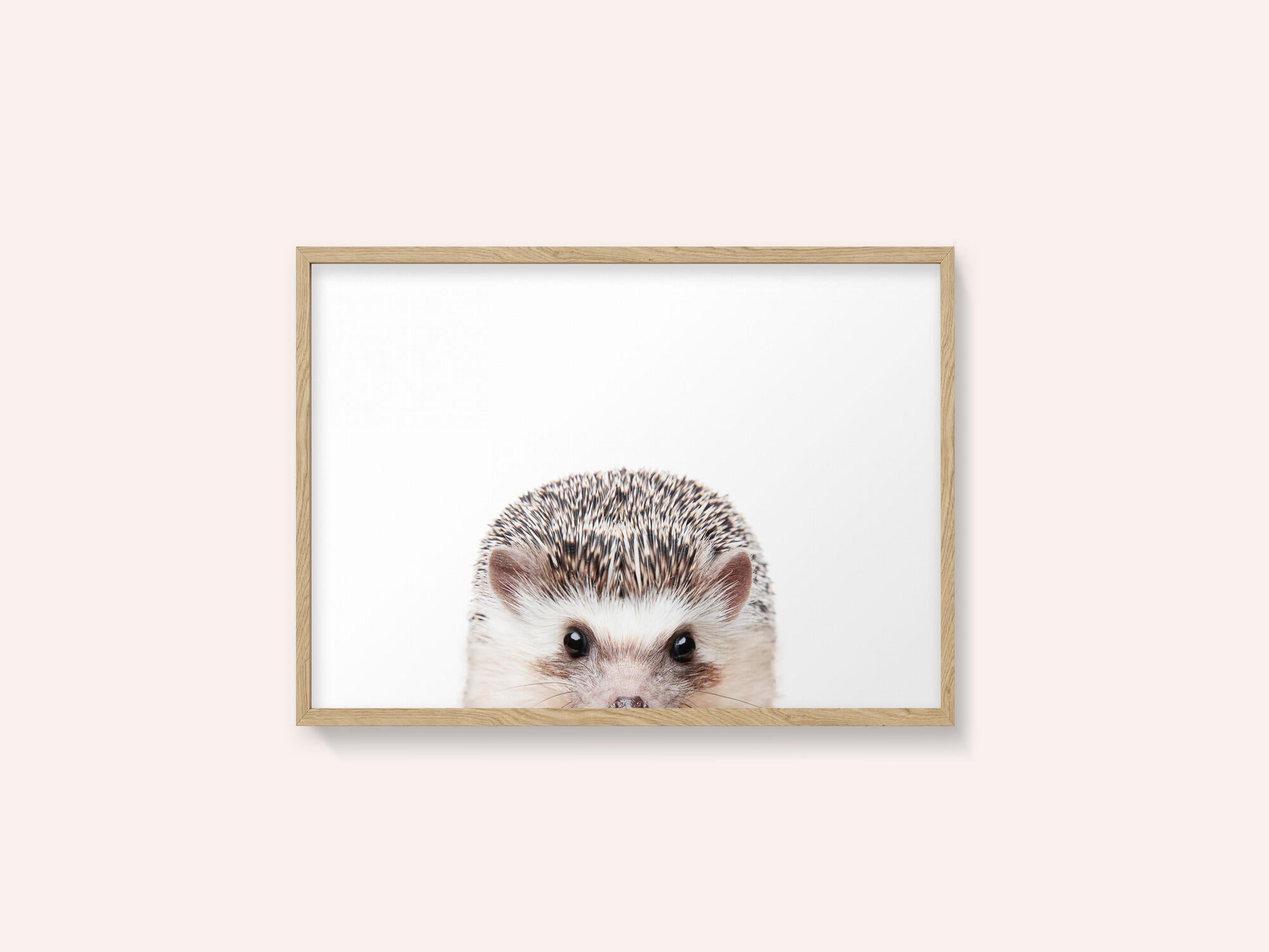 Peeking Hedgehog