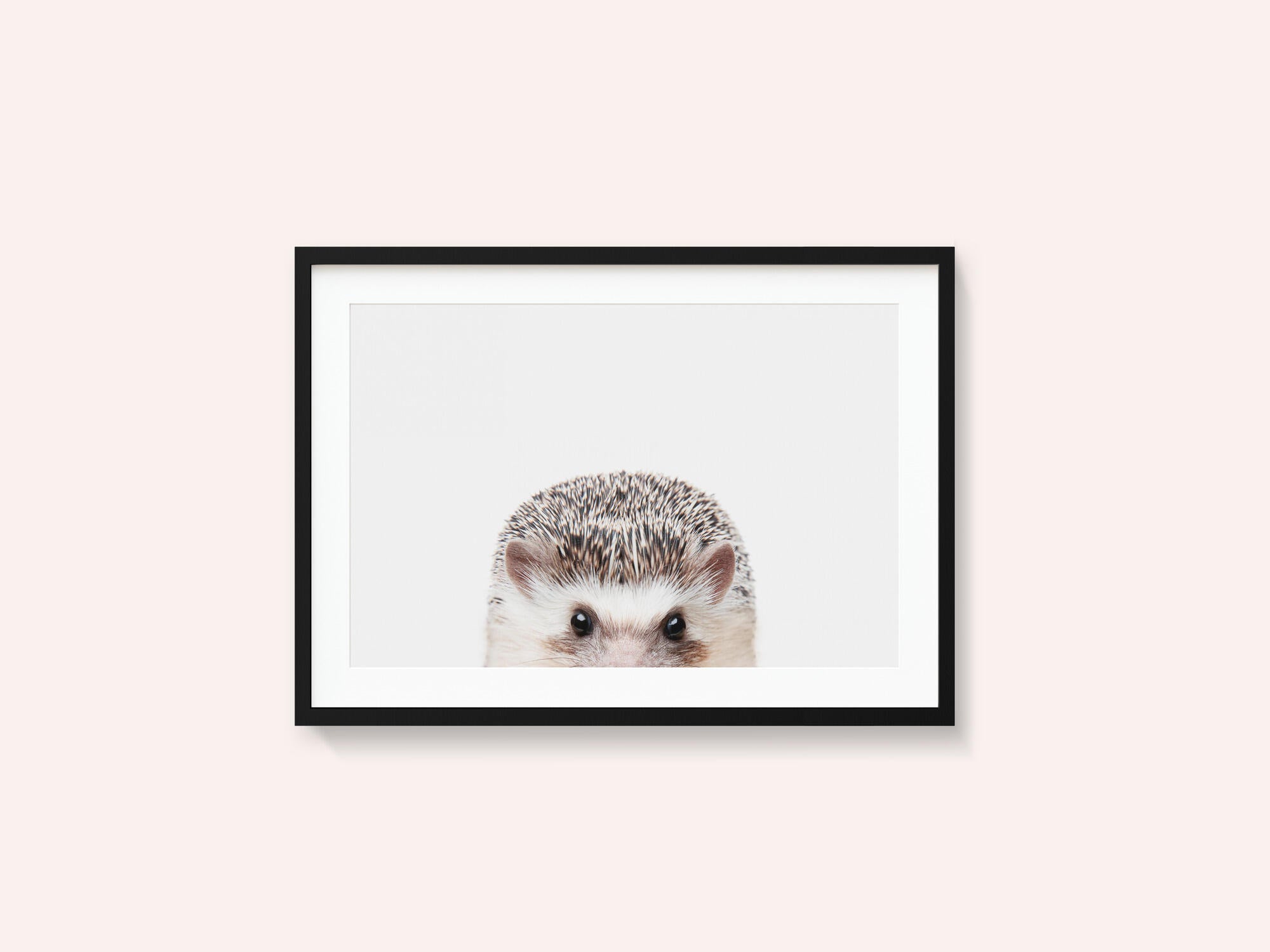 Peeking Hedgehog