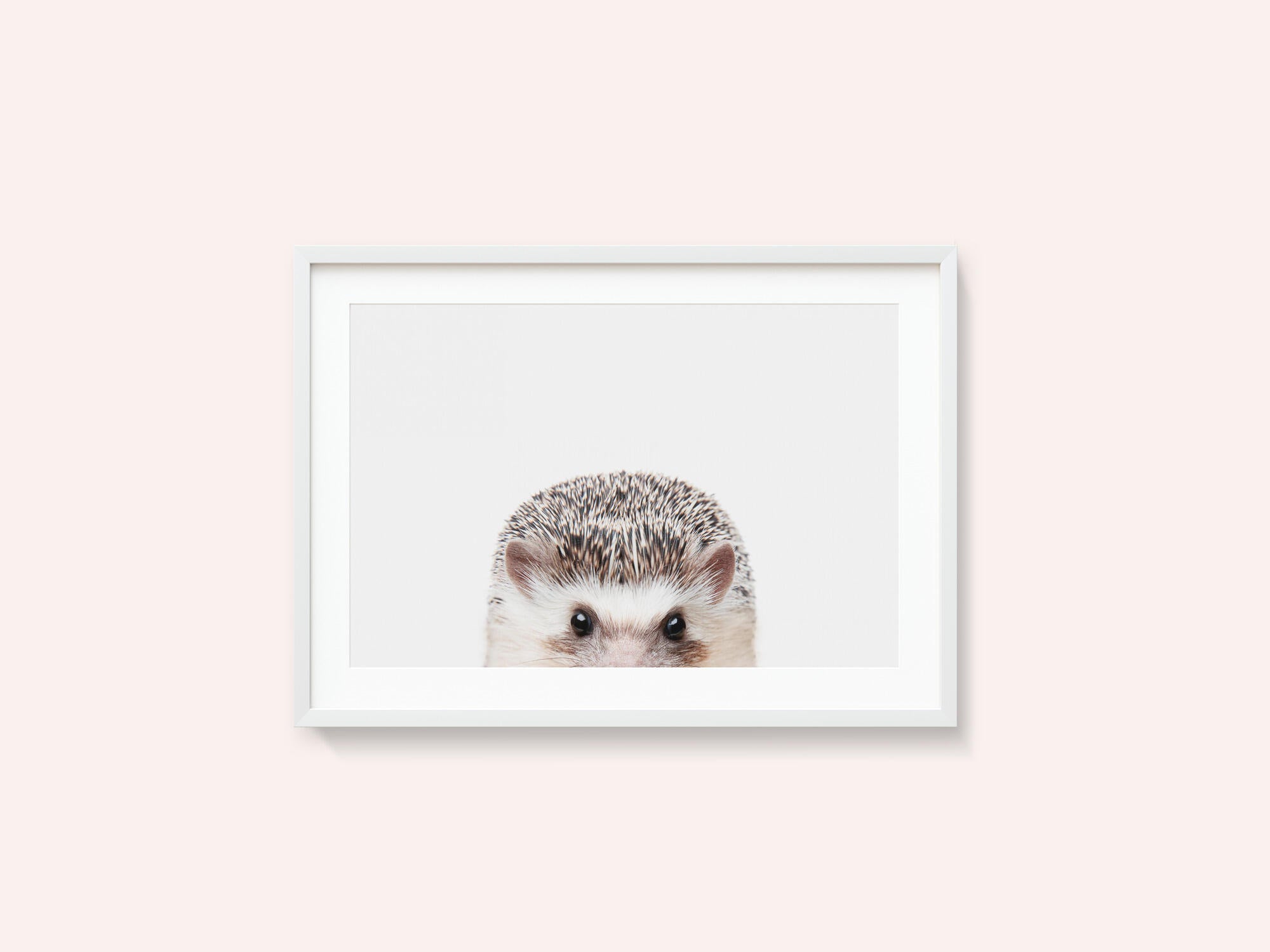 Peeking Hedgehog