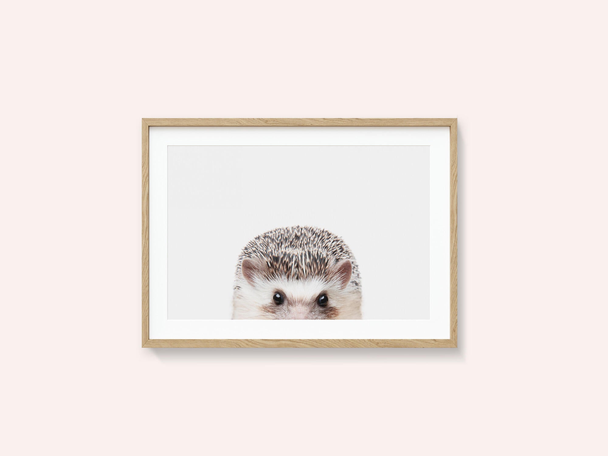 Peeking Hedgehog