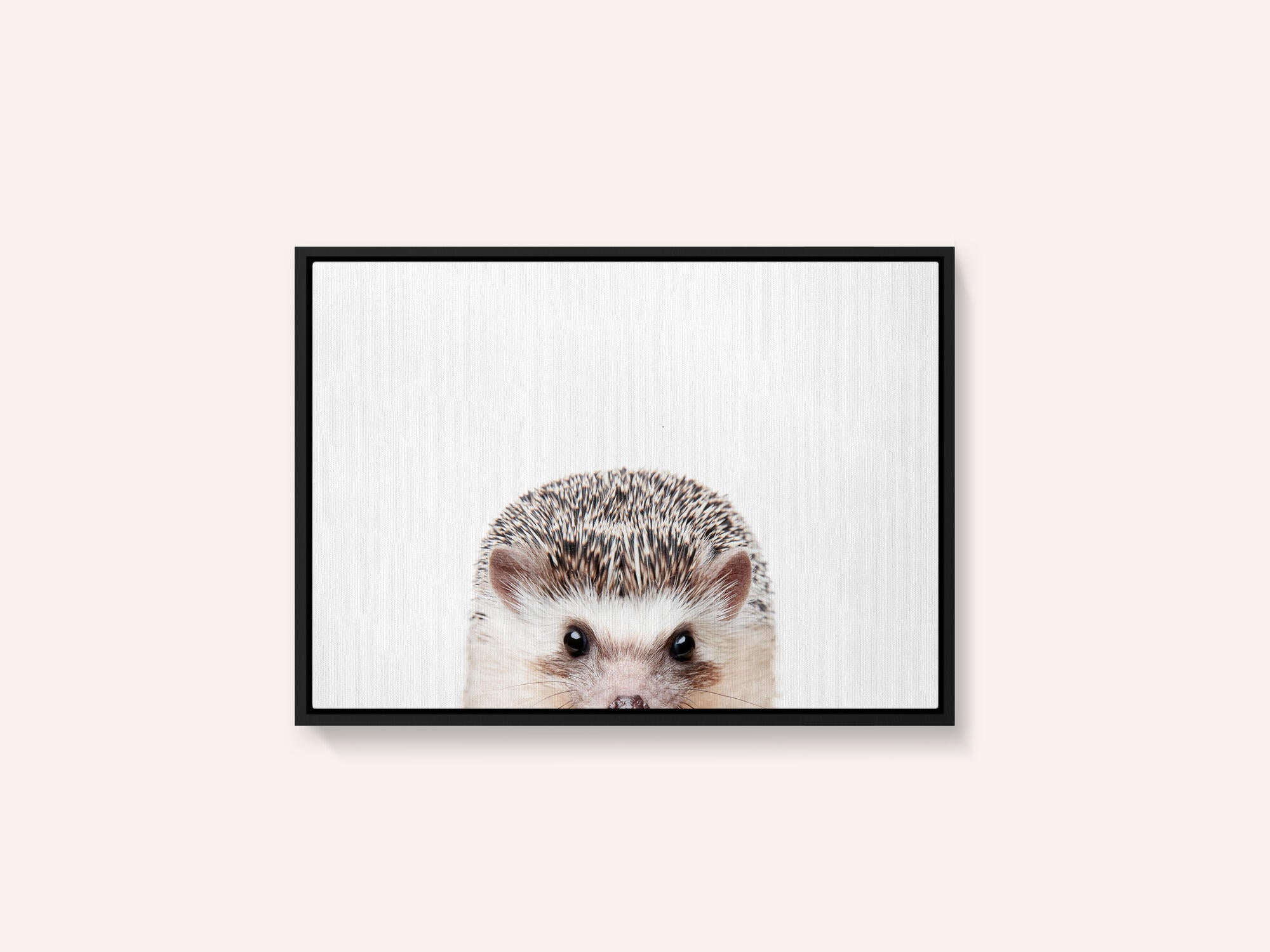 Peeking Hedgehog