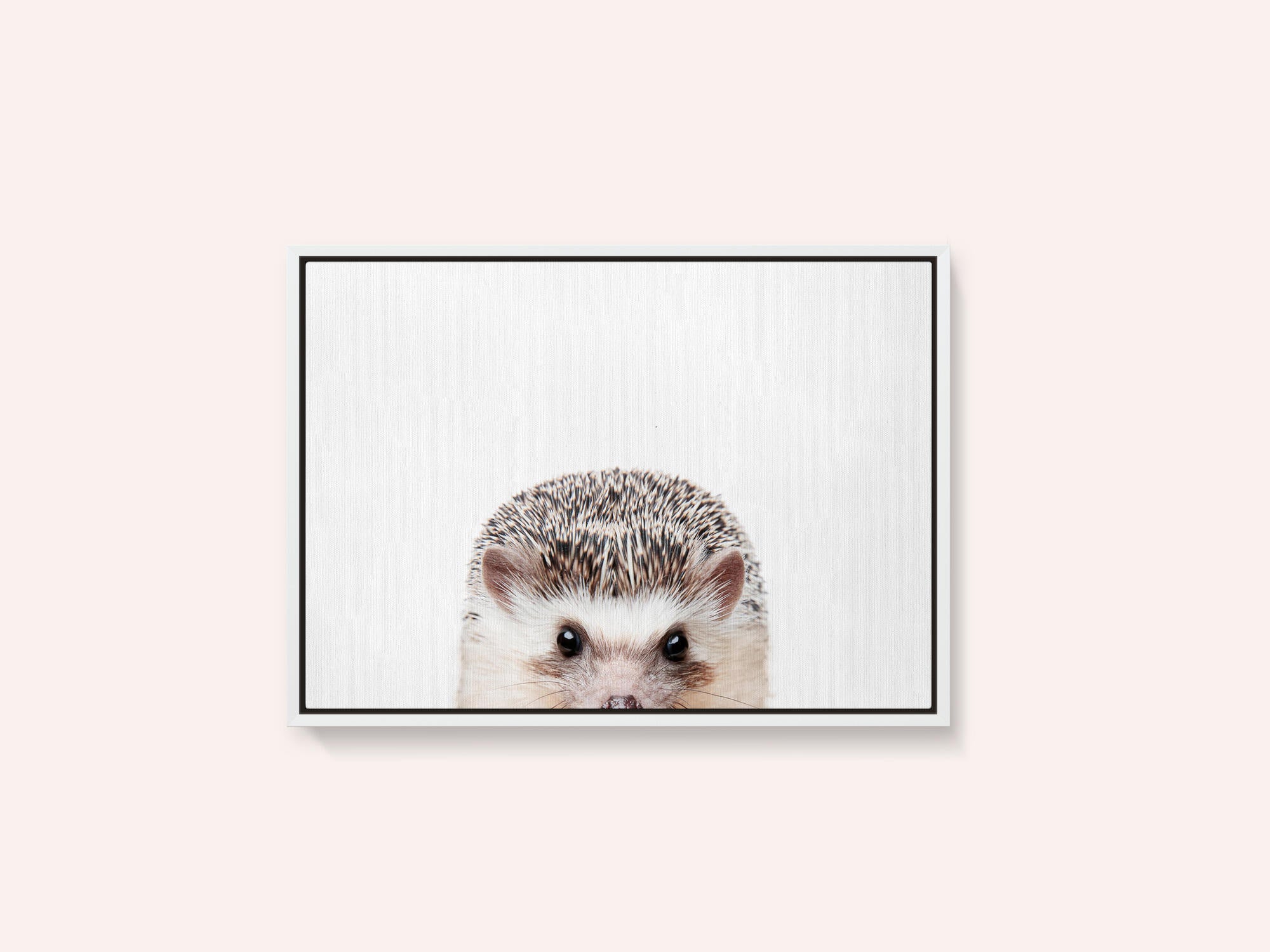 Peeking Hedgehog