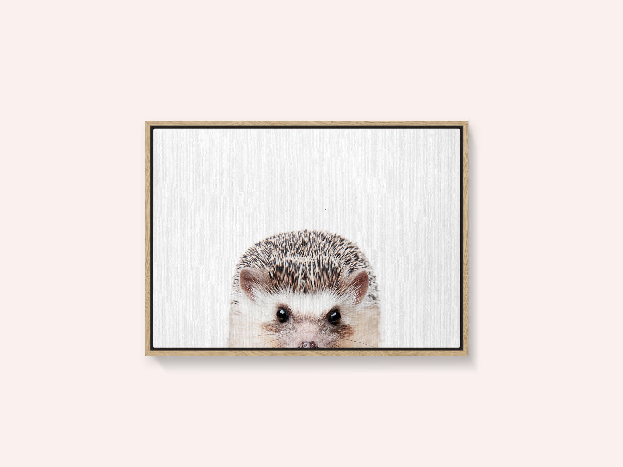 Peeking Hedgehog