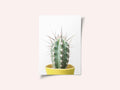 Spikey Cactus