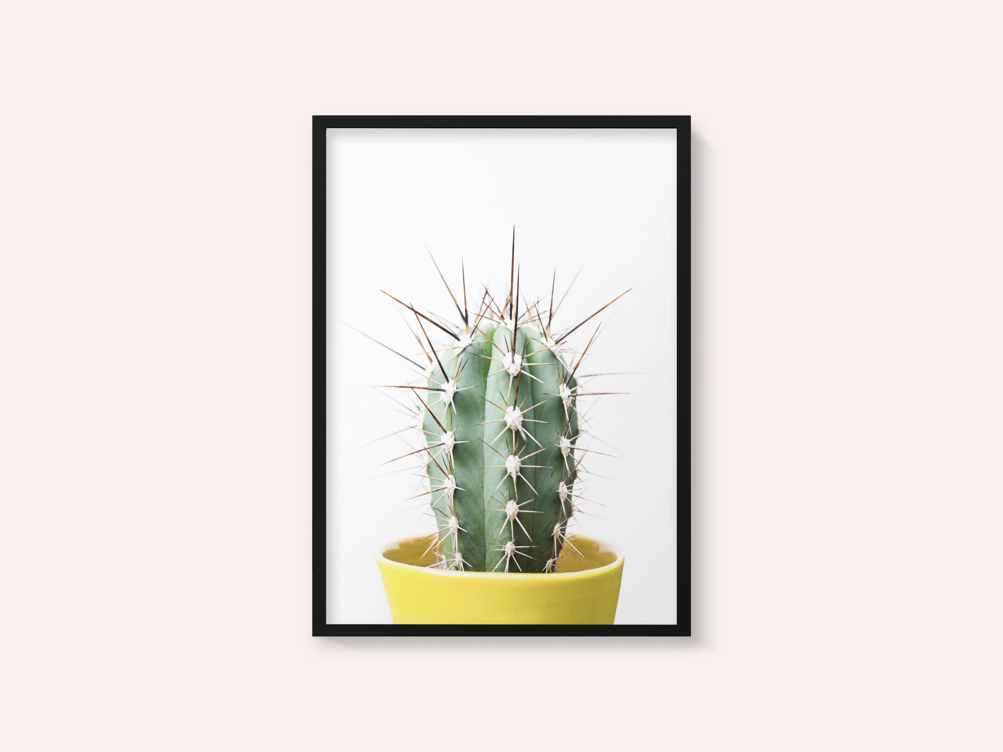 Spikey Cactus